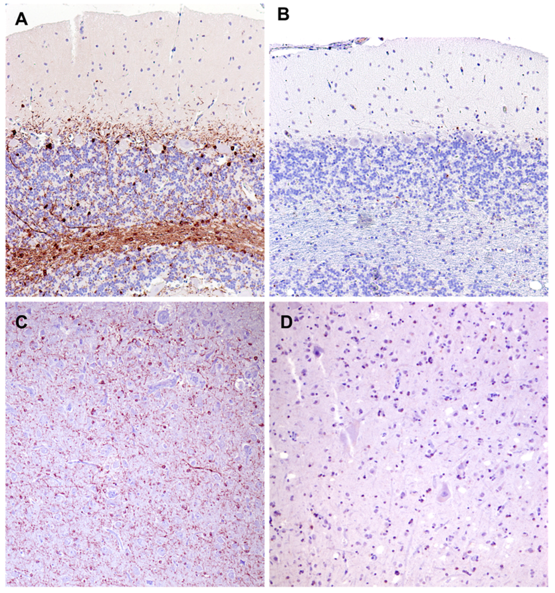 Preprints 97413 g023
