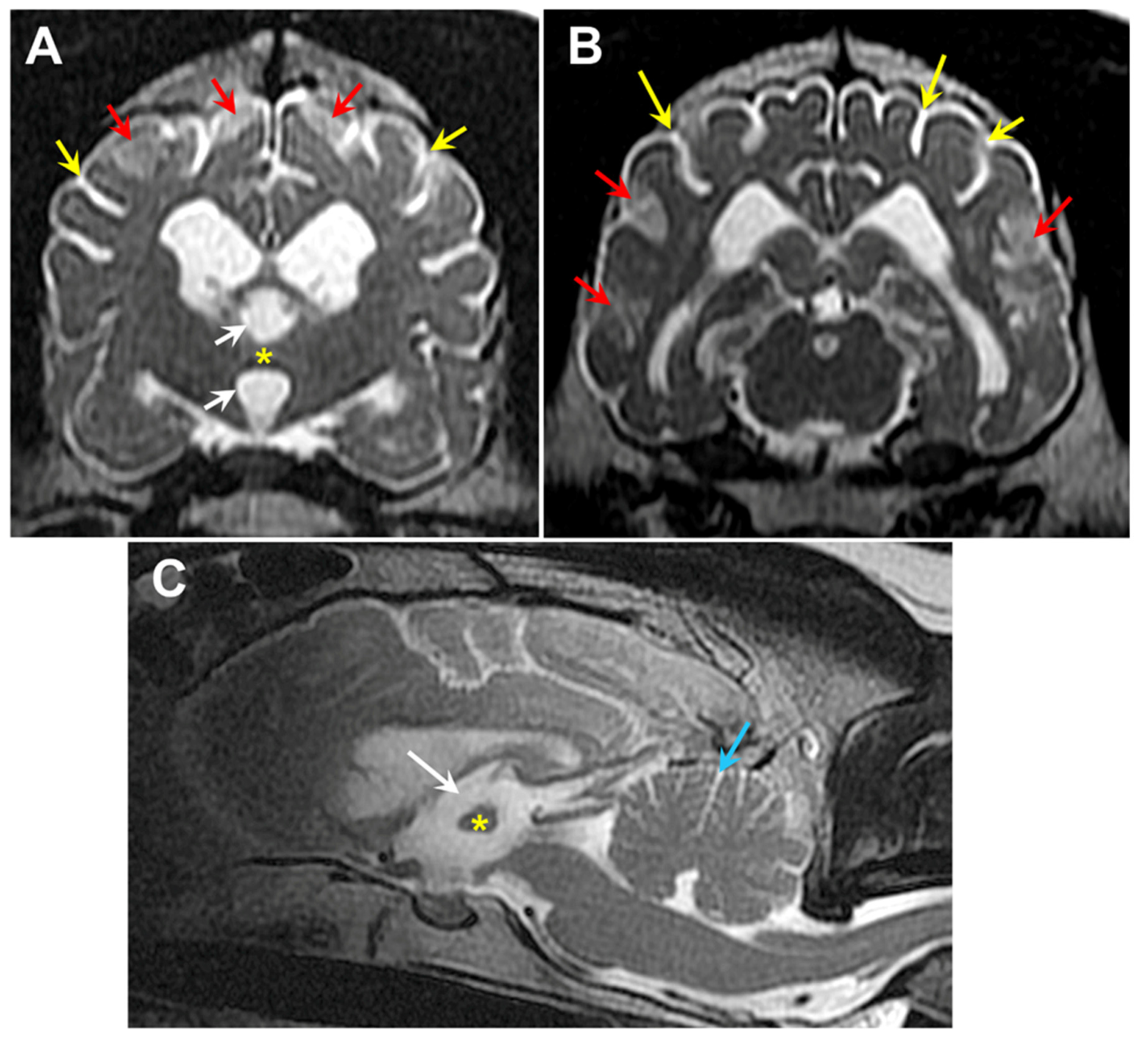 Preprints 97413 g025