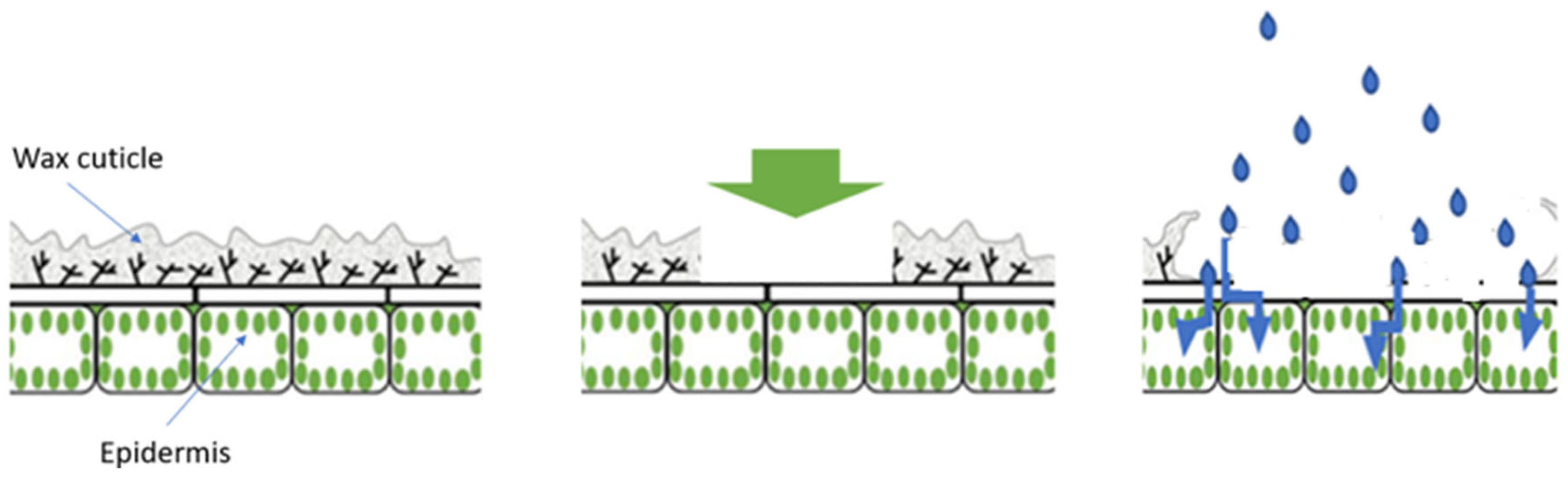 Preprints 151279 g003