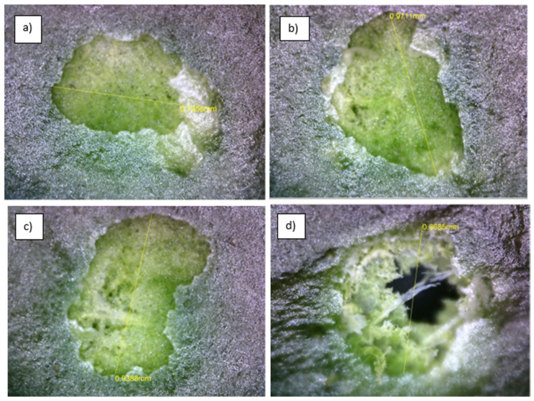 Preprints 151279 g004