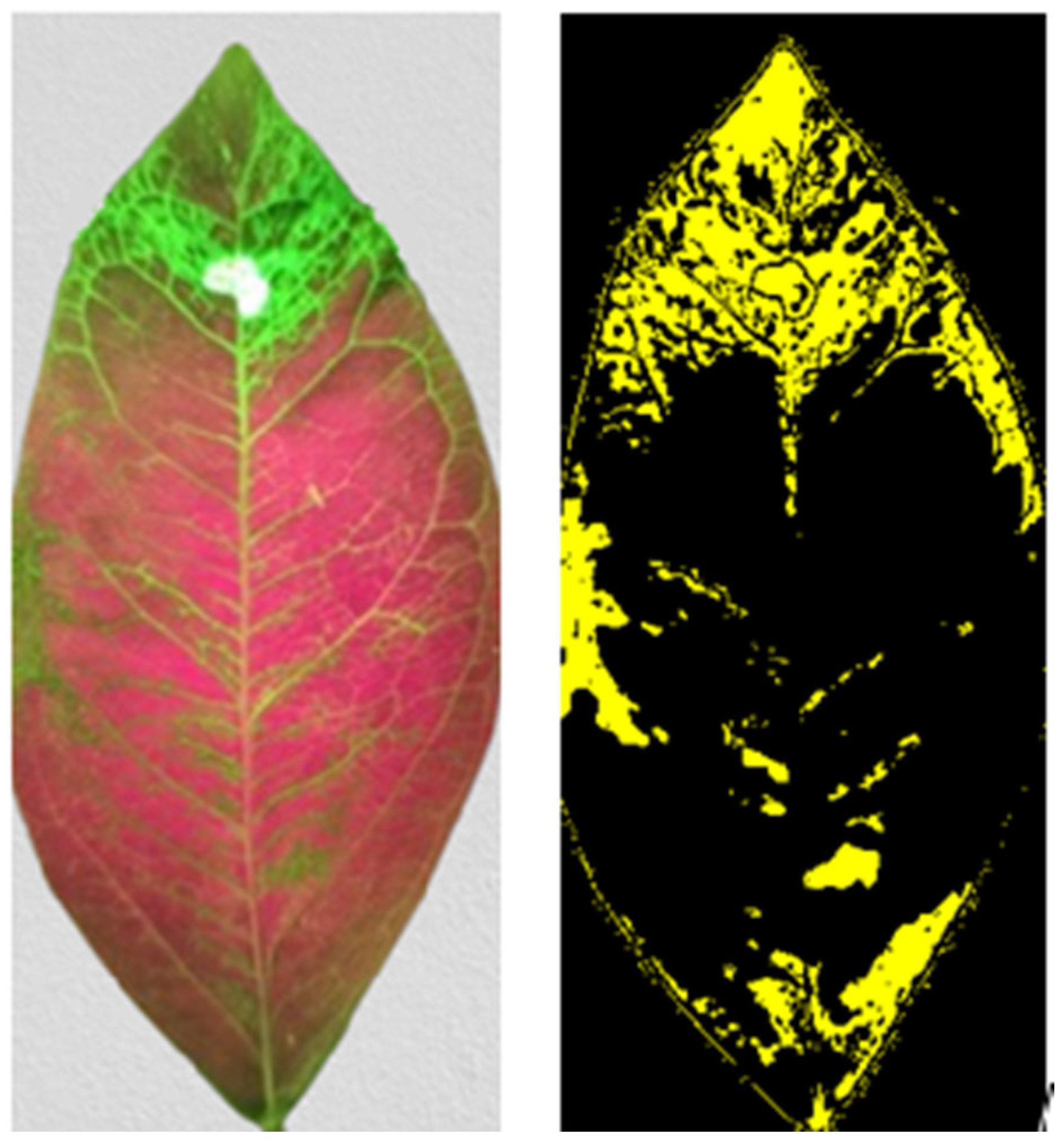 Preprints 151279 g007