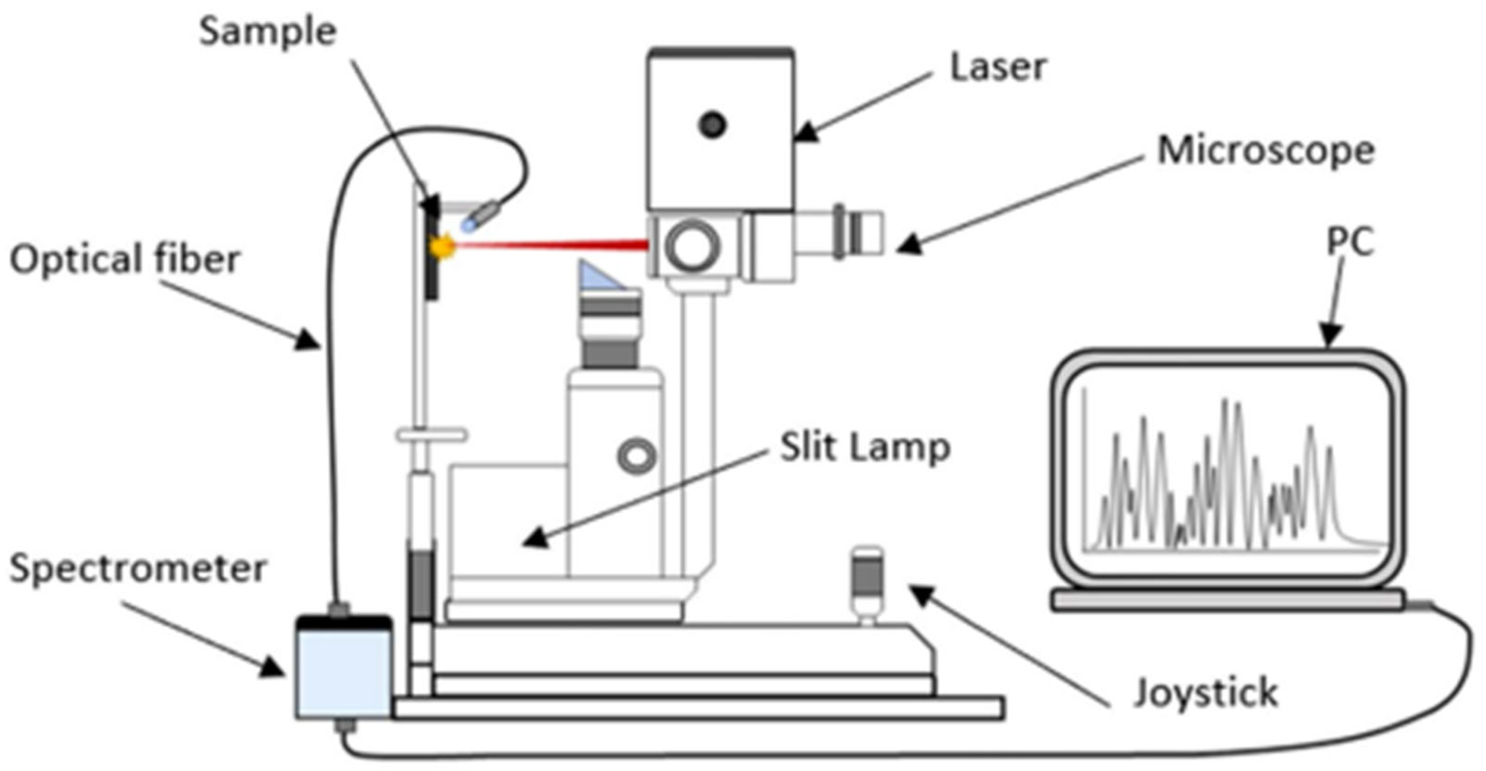 Preprints 151279 g008