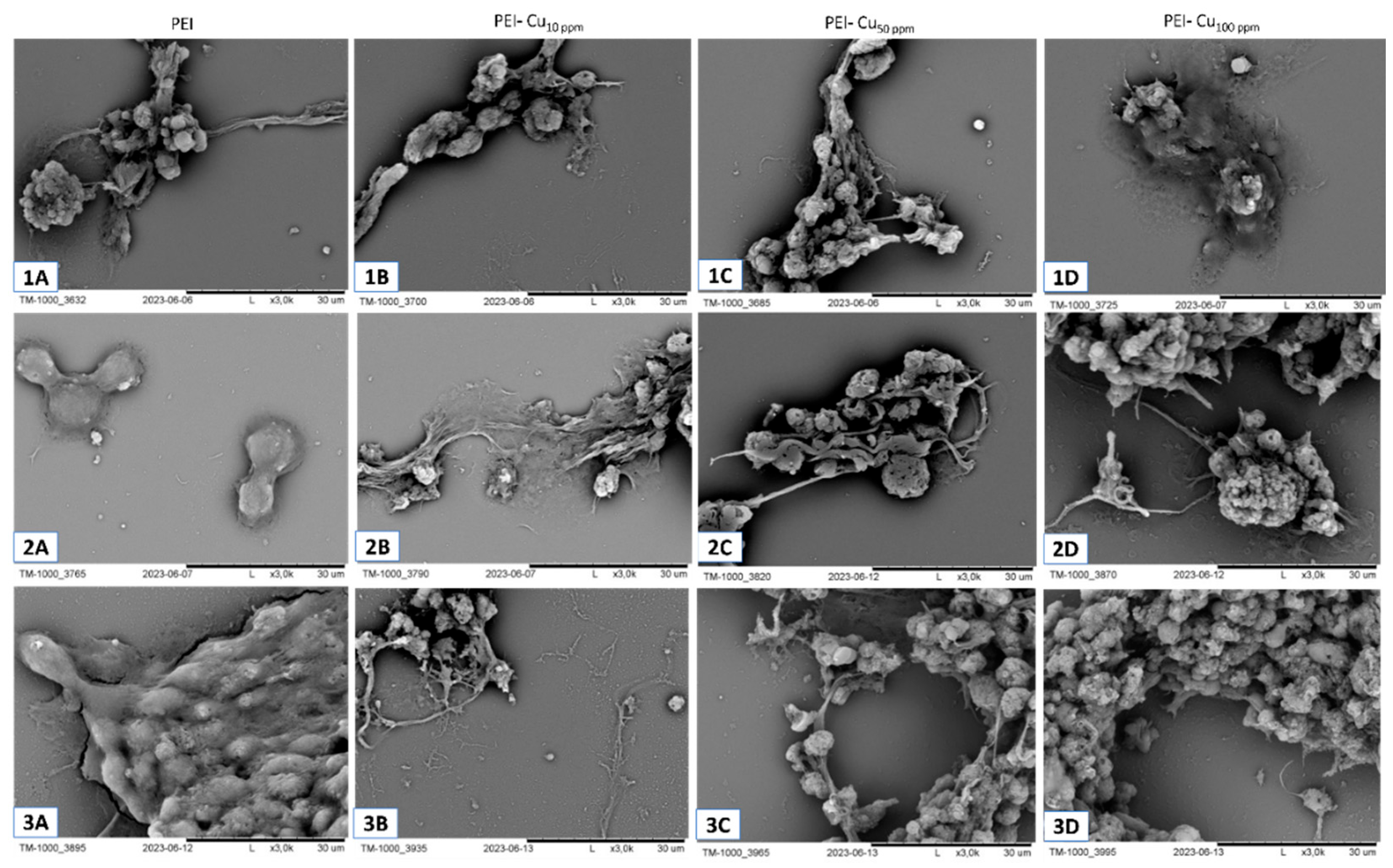 Preprints 188248 g005