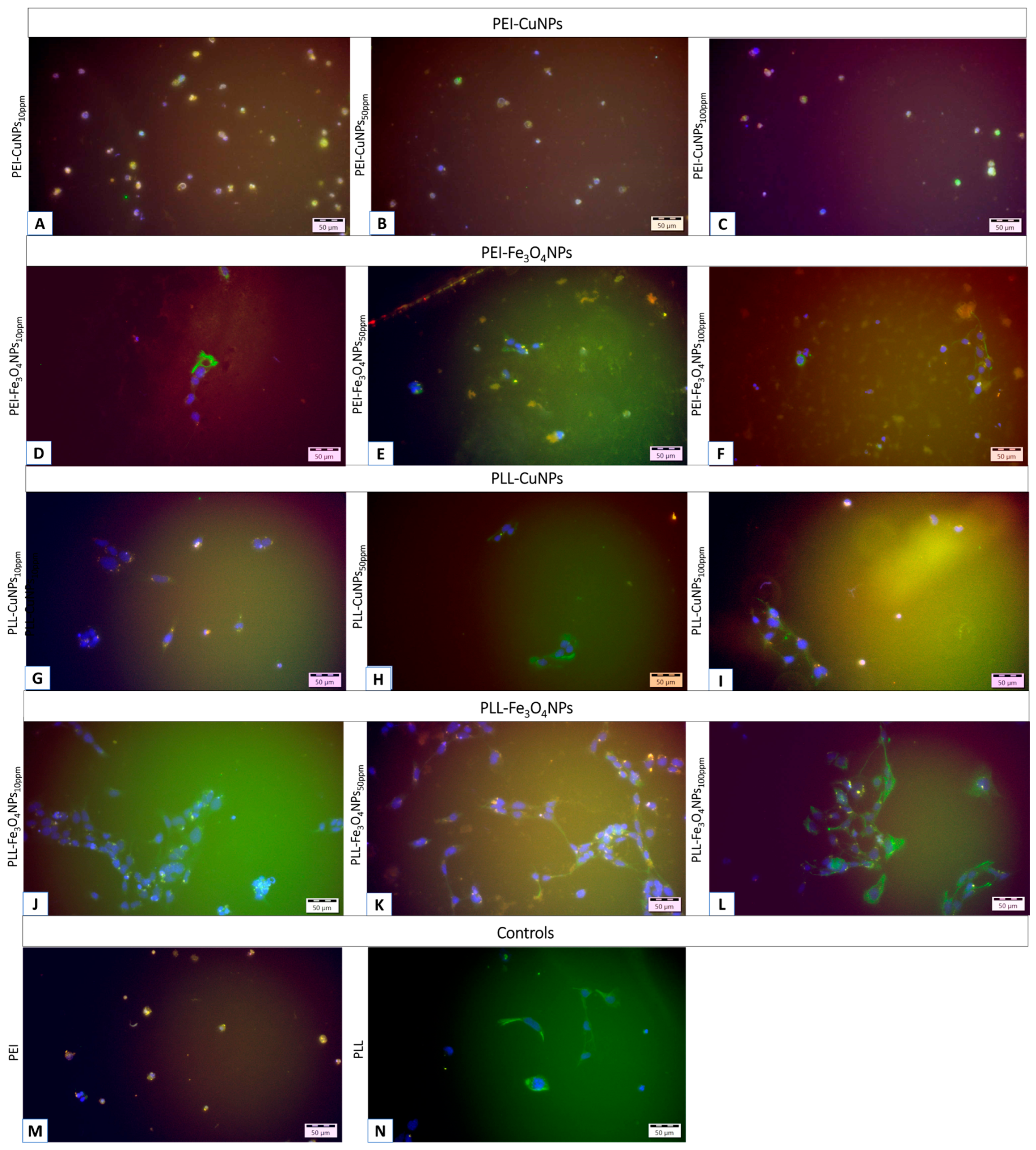 Preprints 188248 g006