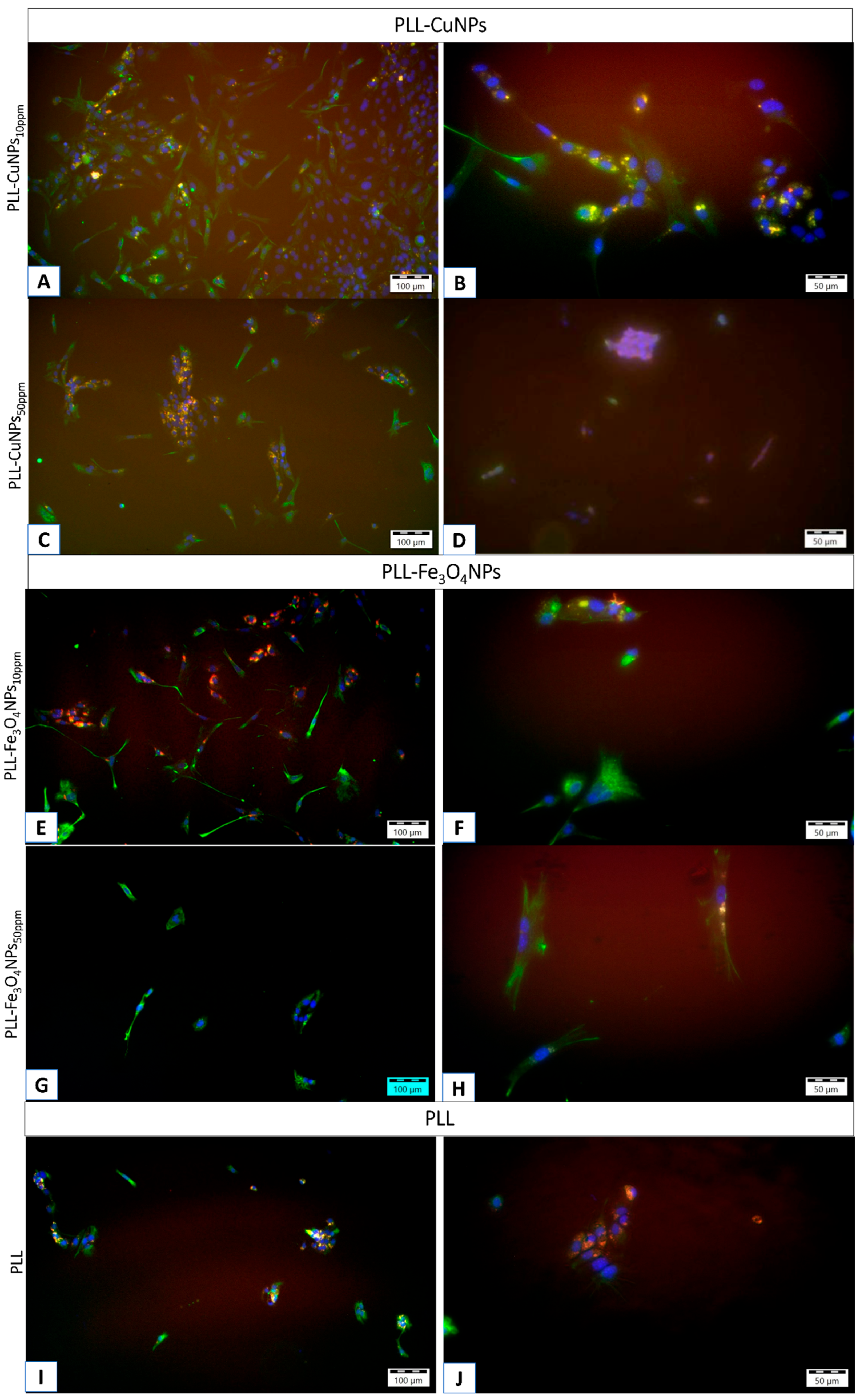 Preprints 188248 g007