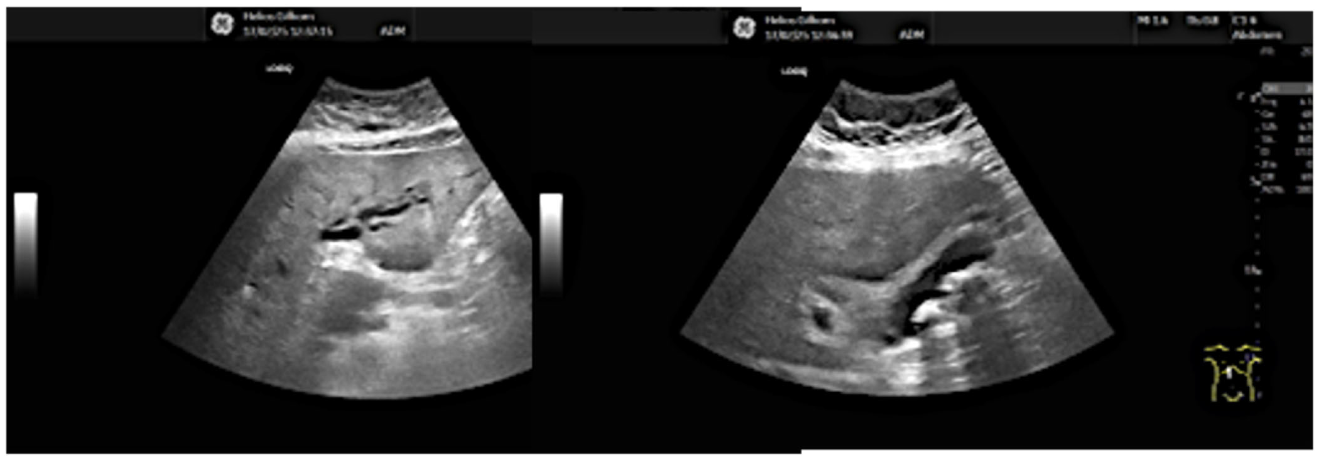 Preprints 165060 g001