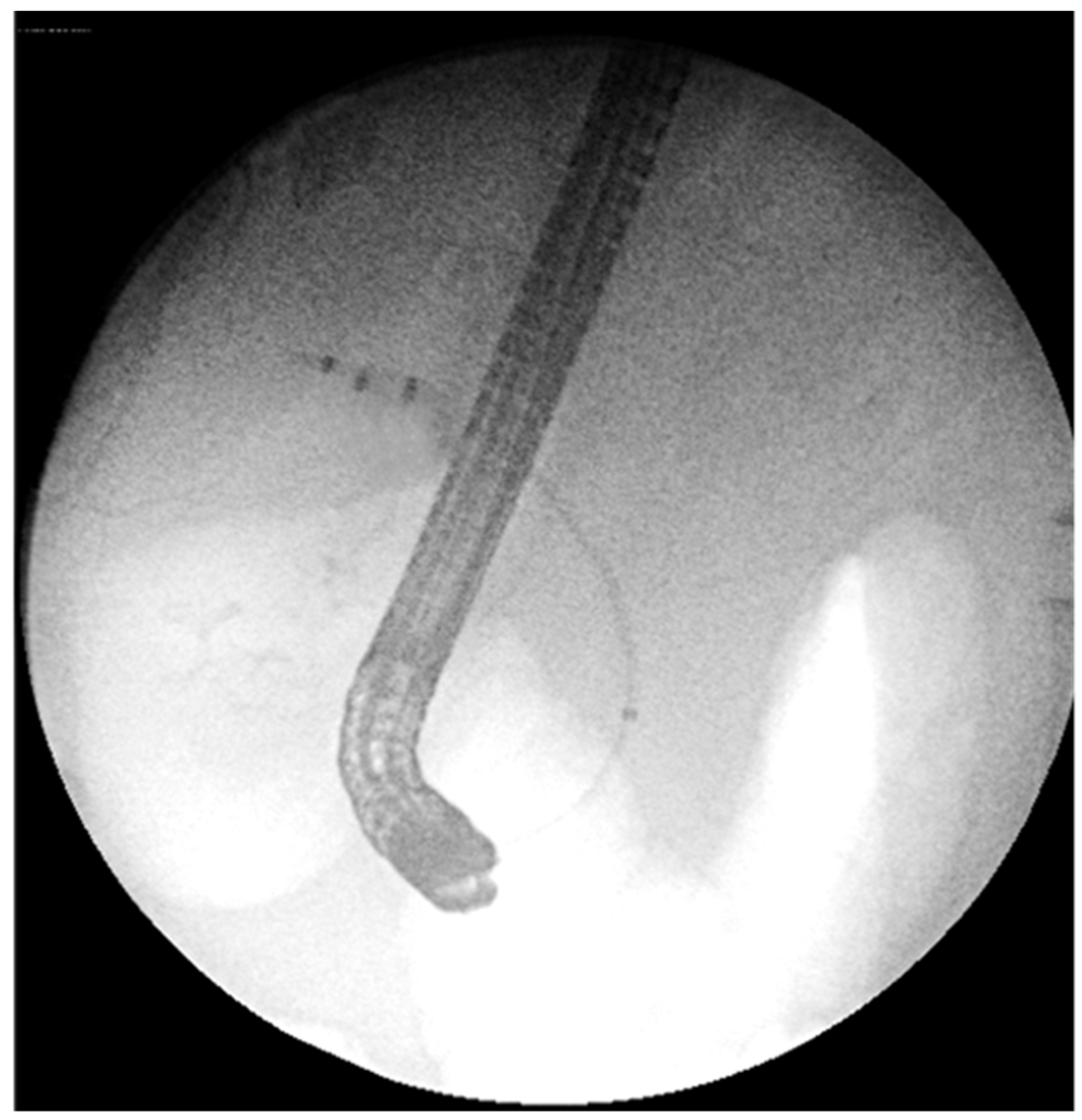 Preprints 165060 g002