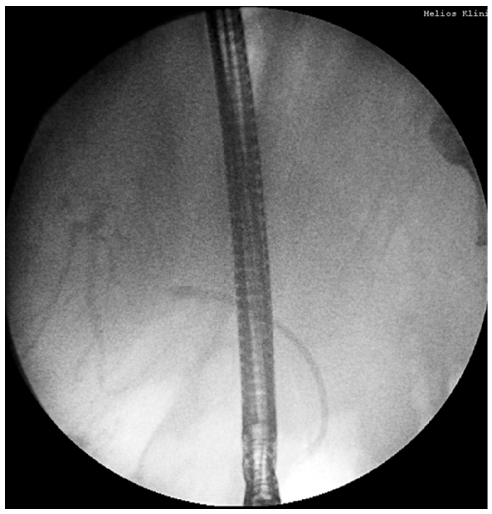 Preprints 165060 g004