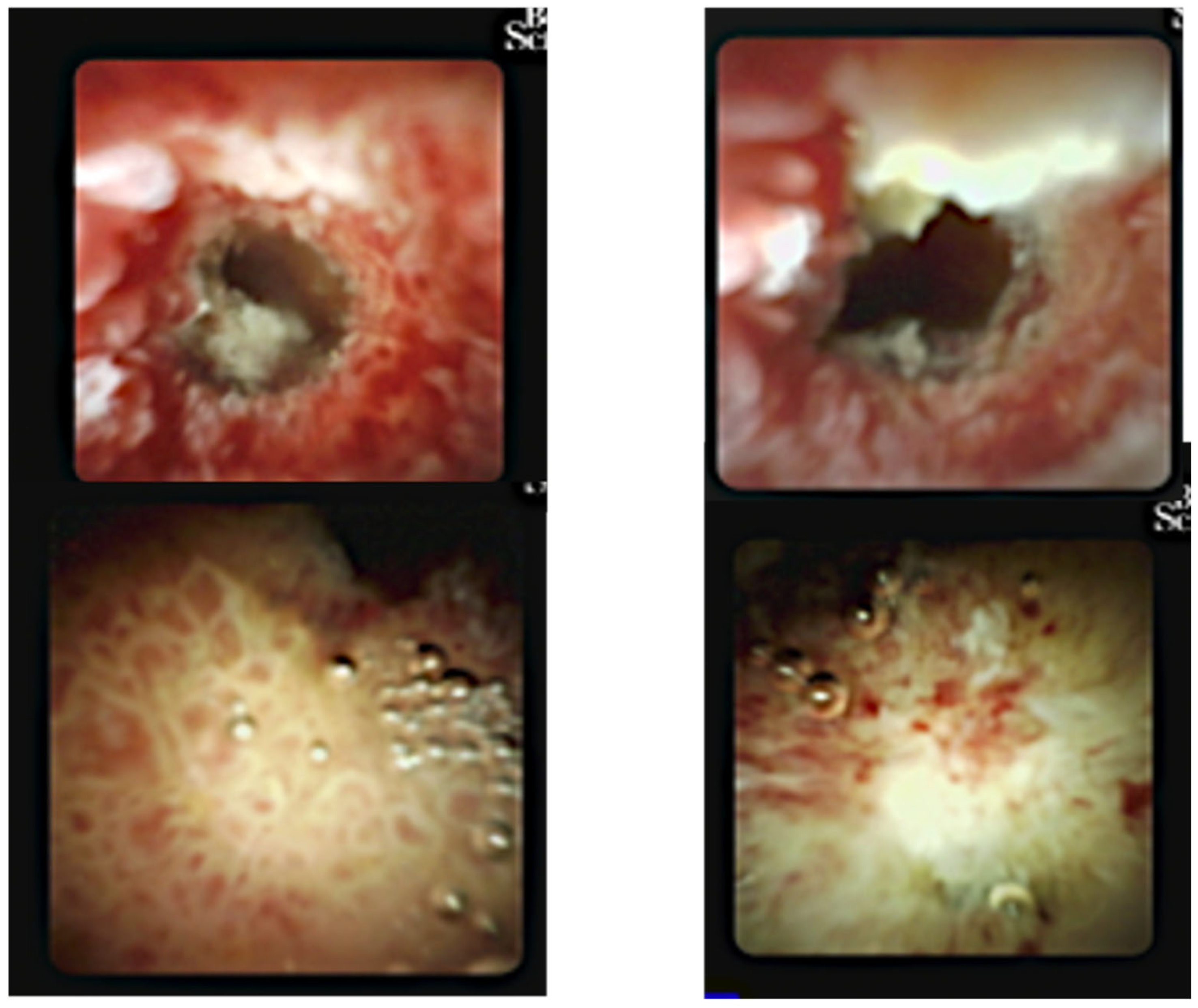 Preprints 165060 g006