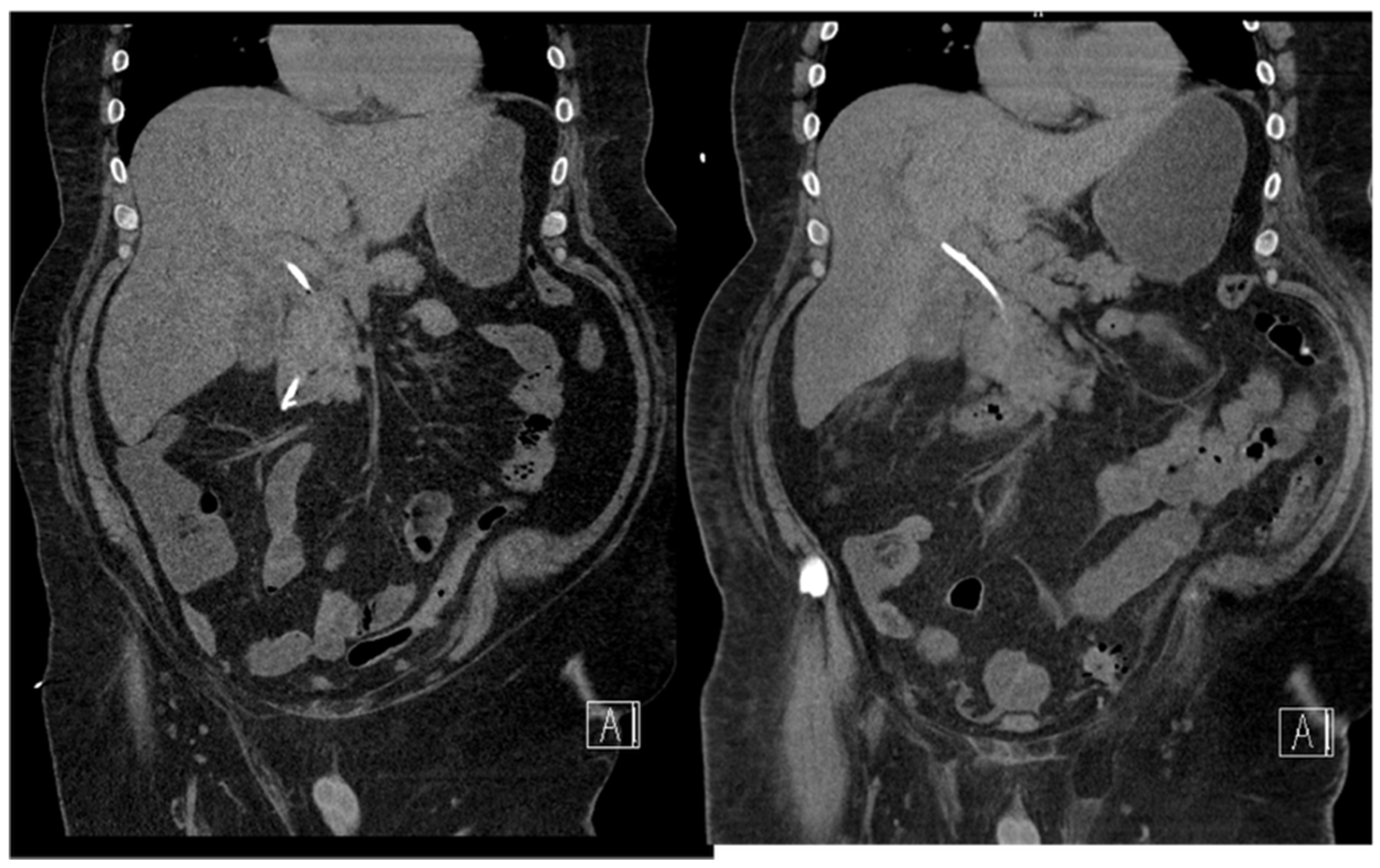 Preprints 165060 g007
