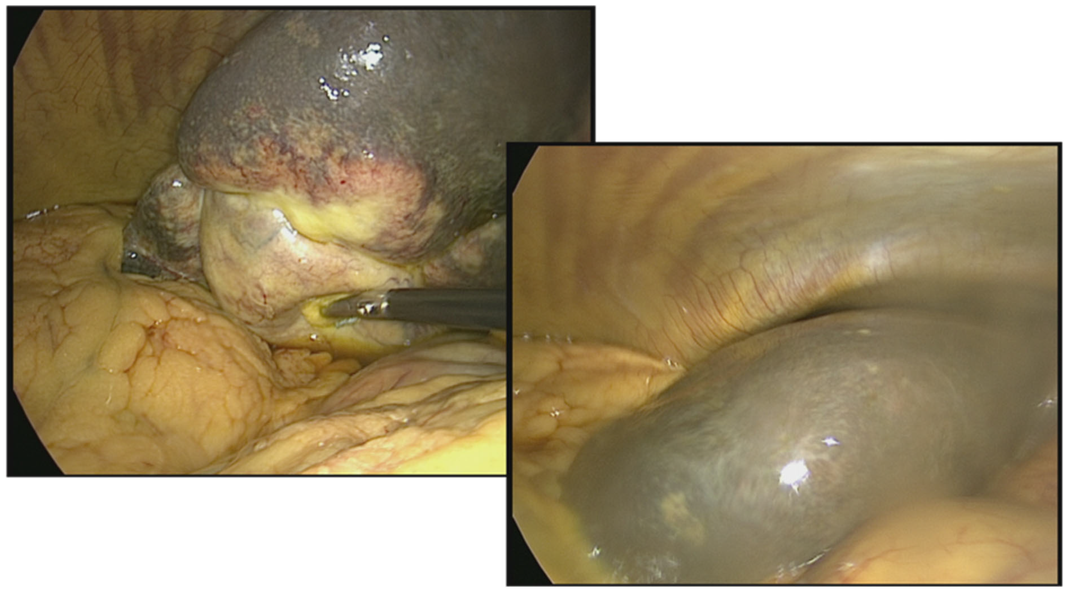 Preprints 165060 g008