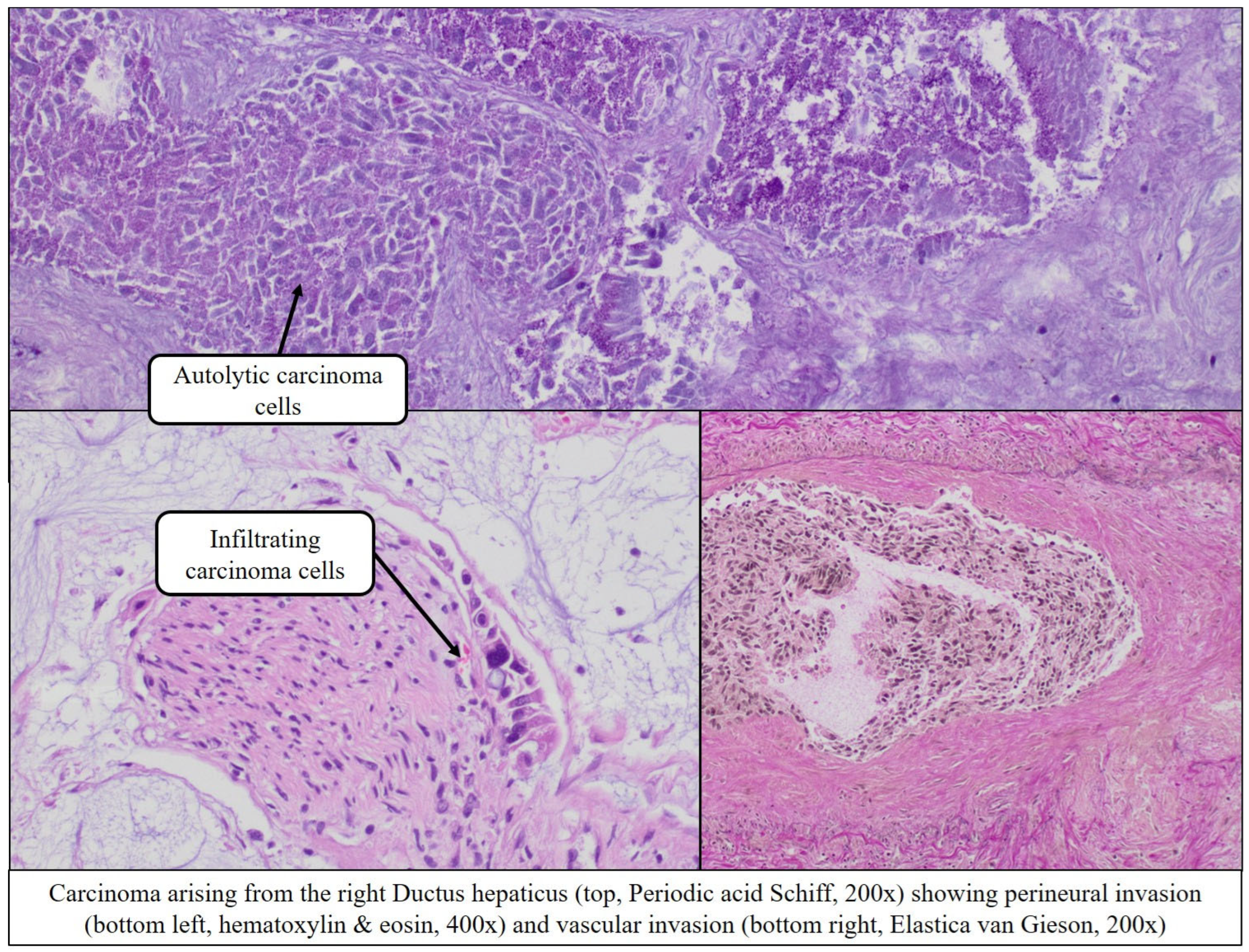 Preprints 165060 g009