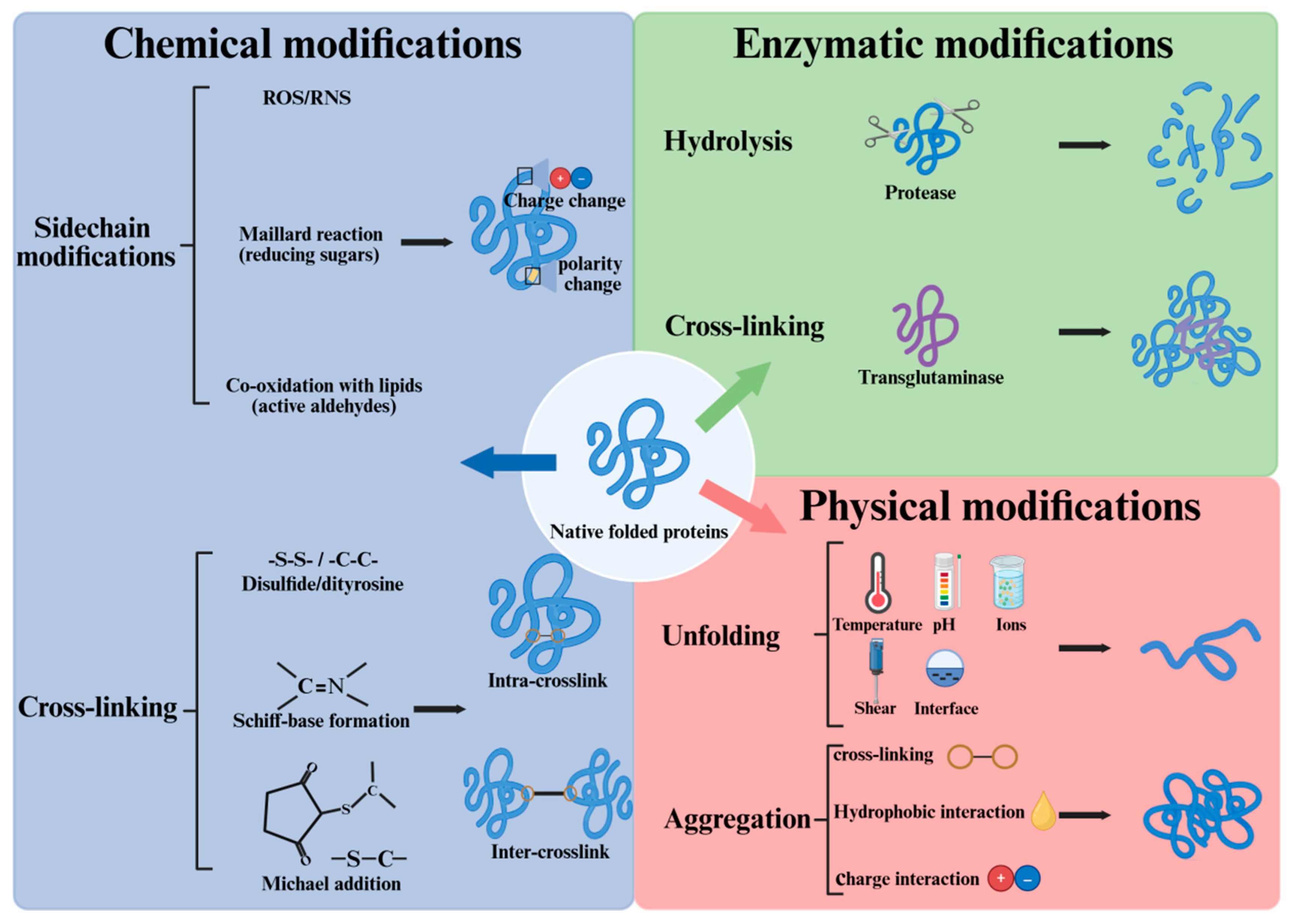 Preprints 196124 g001