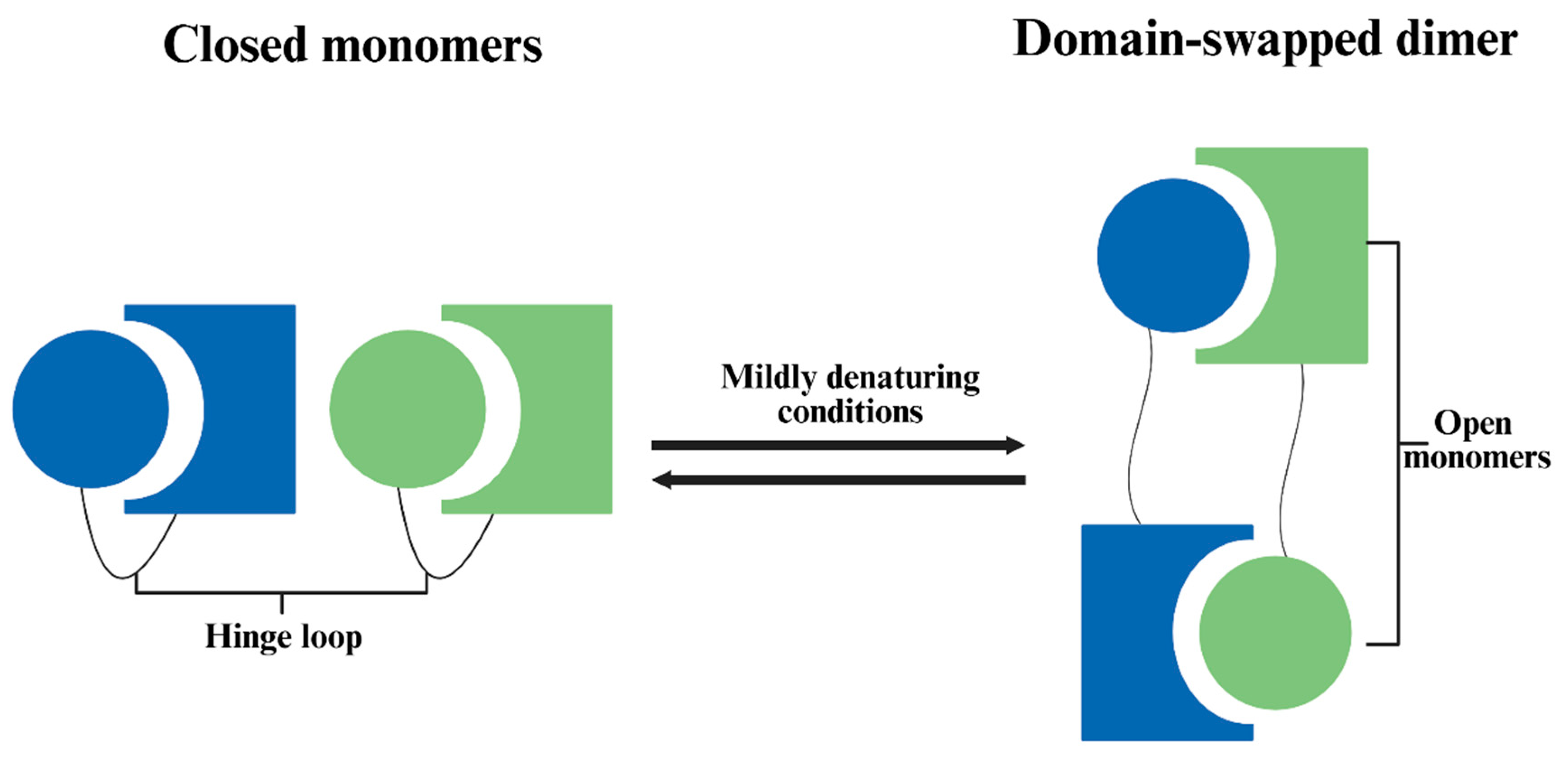 Preprints 196124 g002