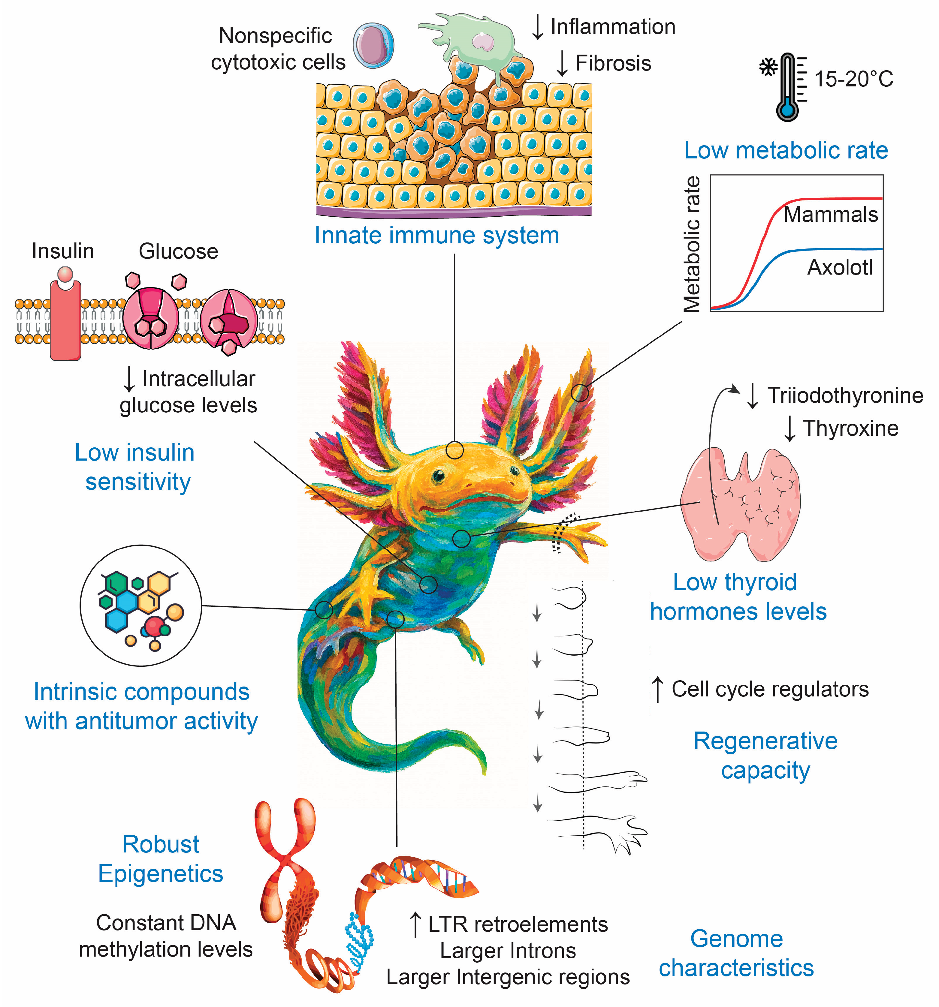 Preprints 194518 g001