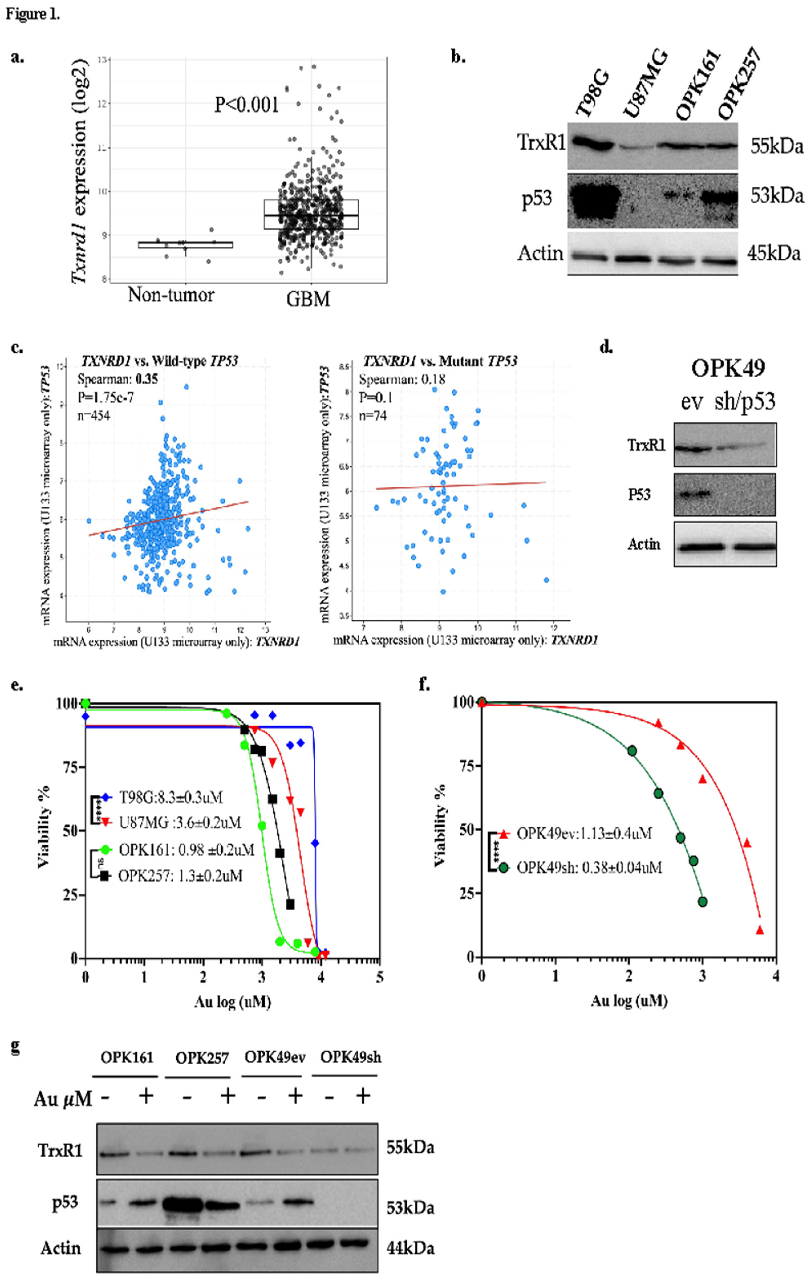 Preprints 117779 g001