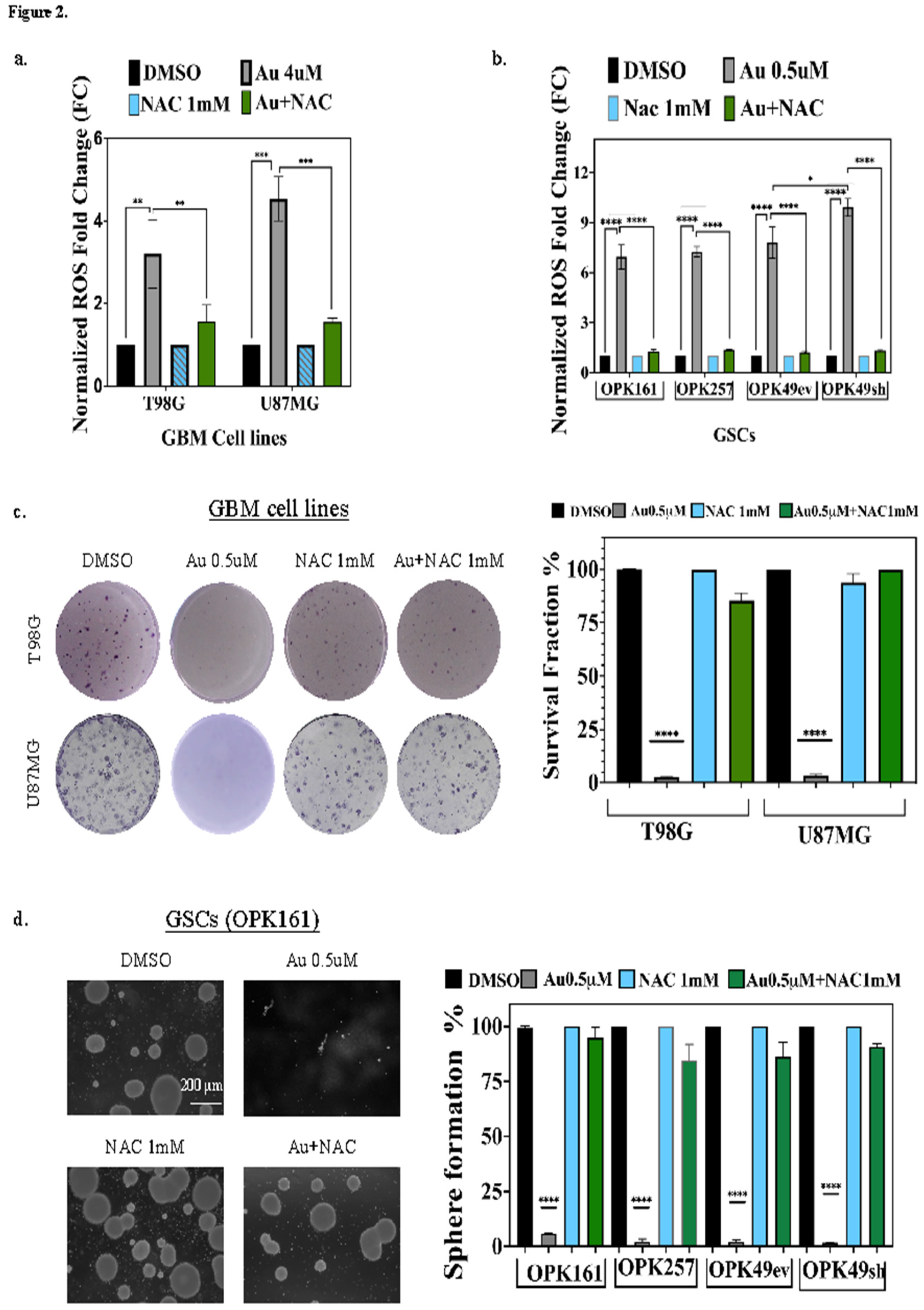 Preprints 117779 g002