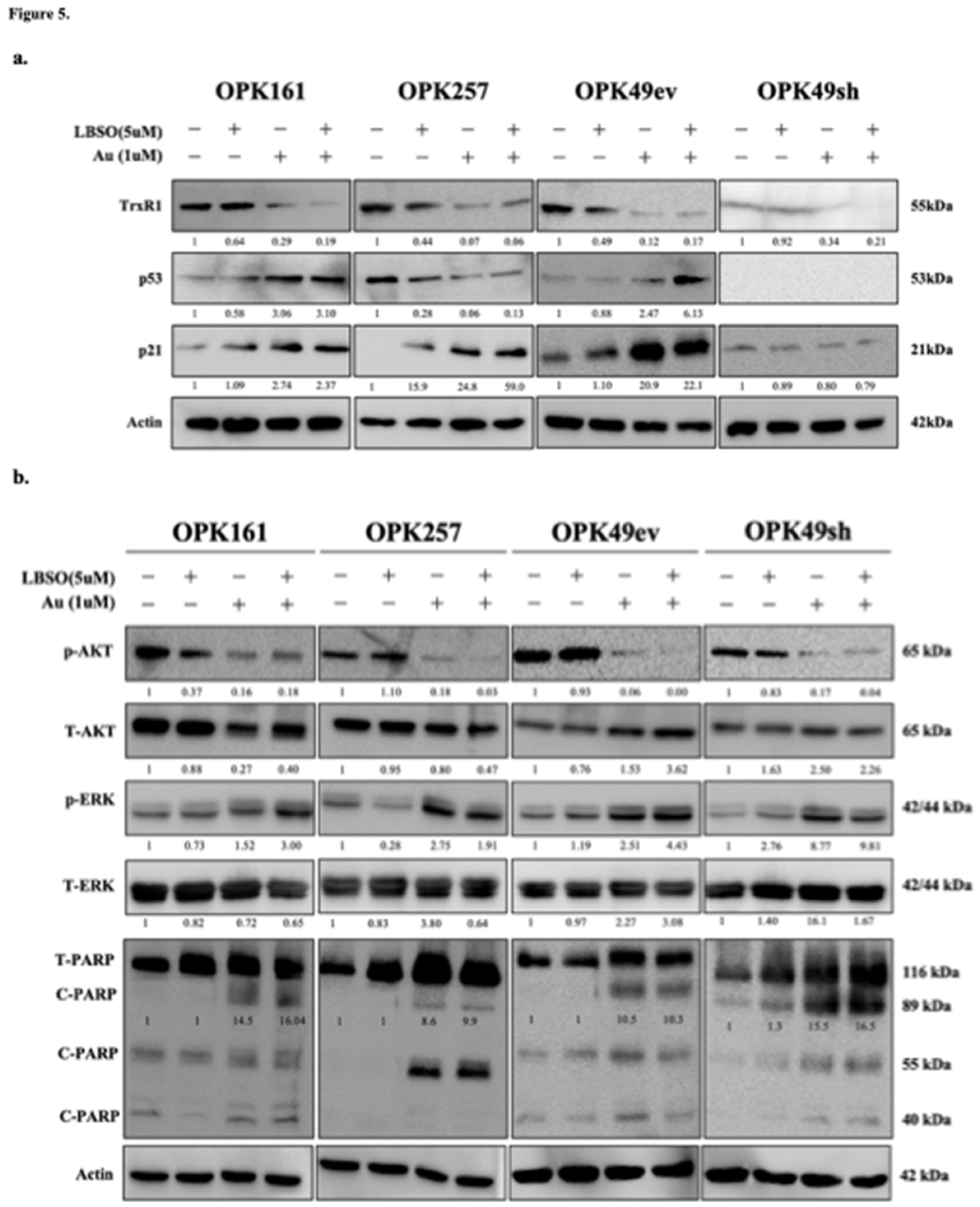 Preprints 117779 g005