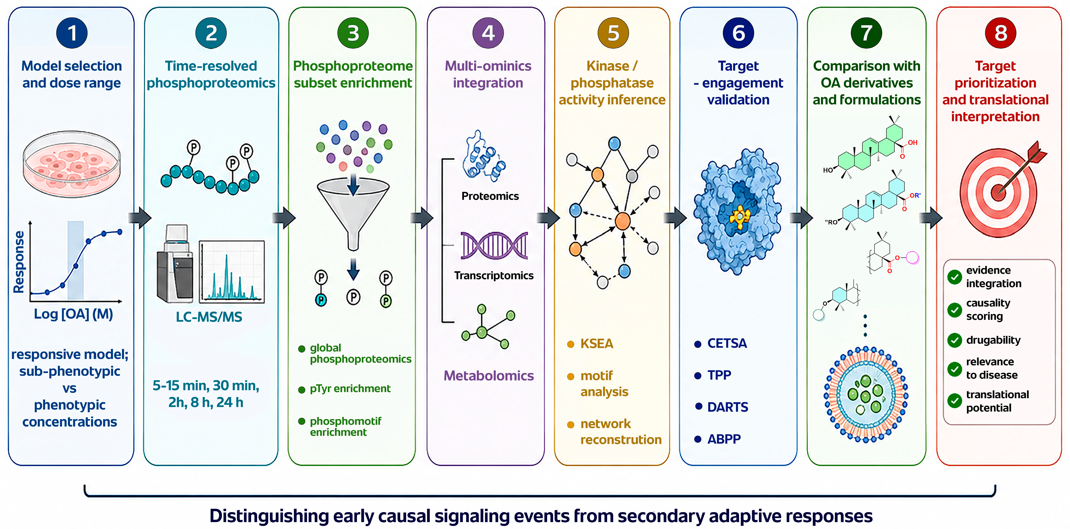 Phosphoproteomics and Multi-Omics for Oleanolic Acid Target ...