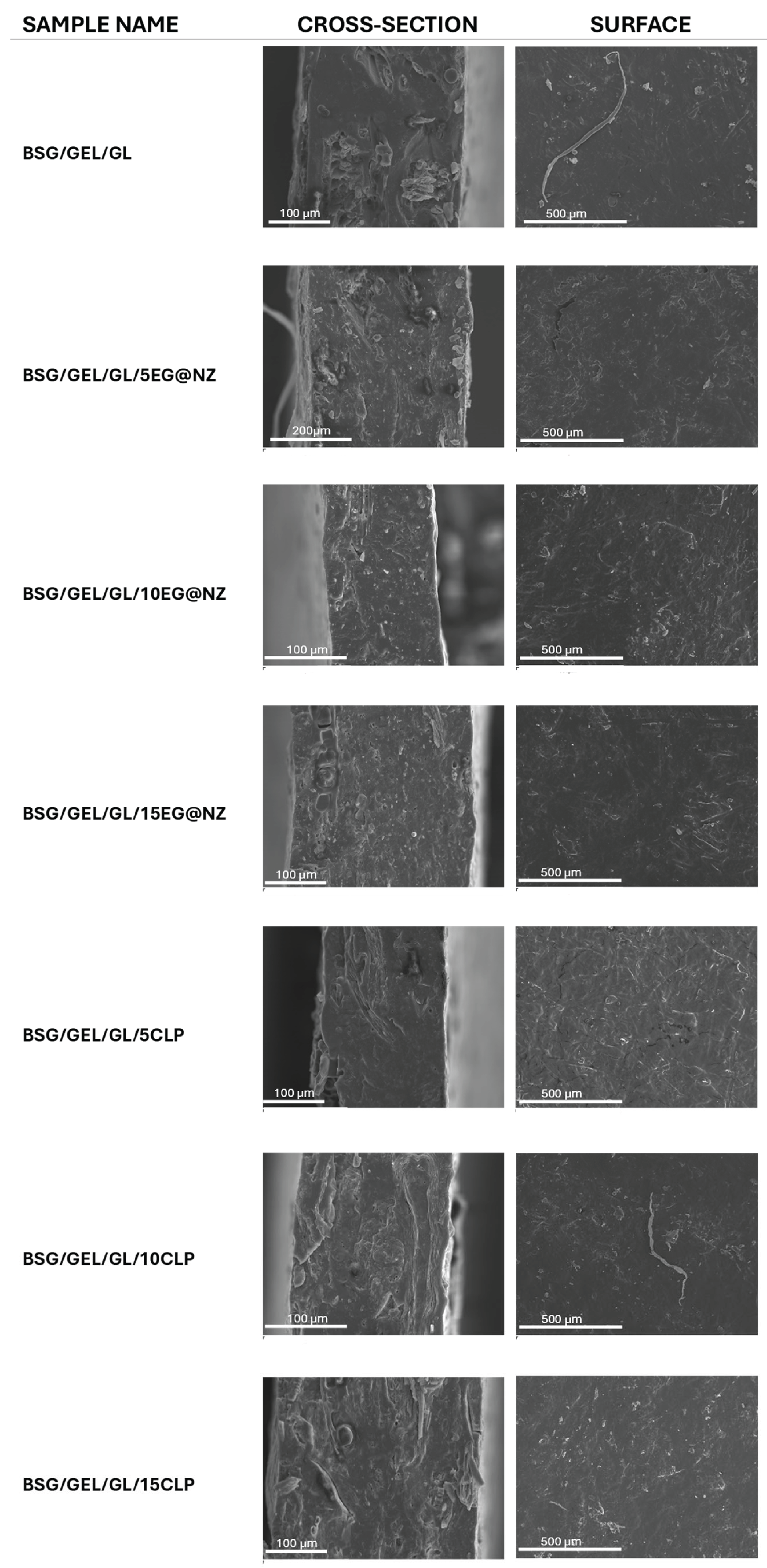 Preprints 169170 g004