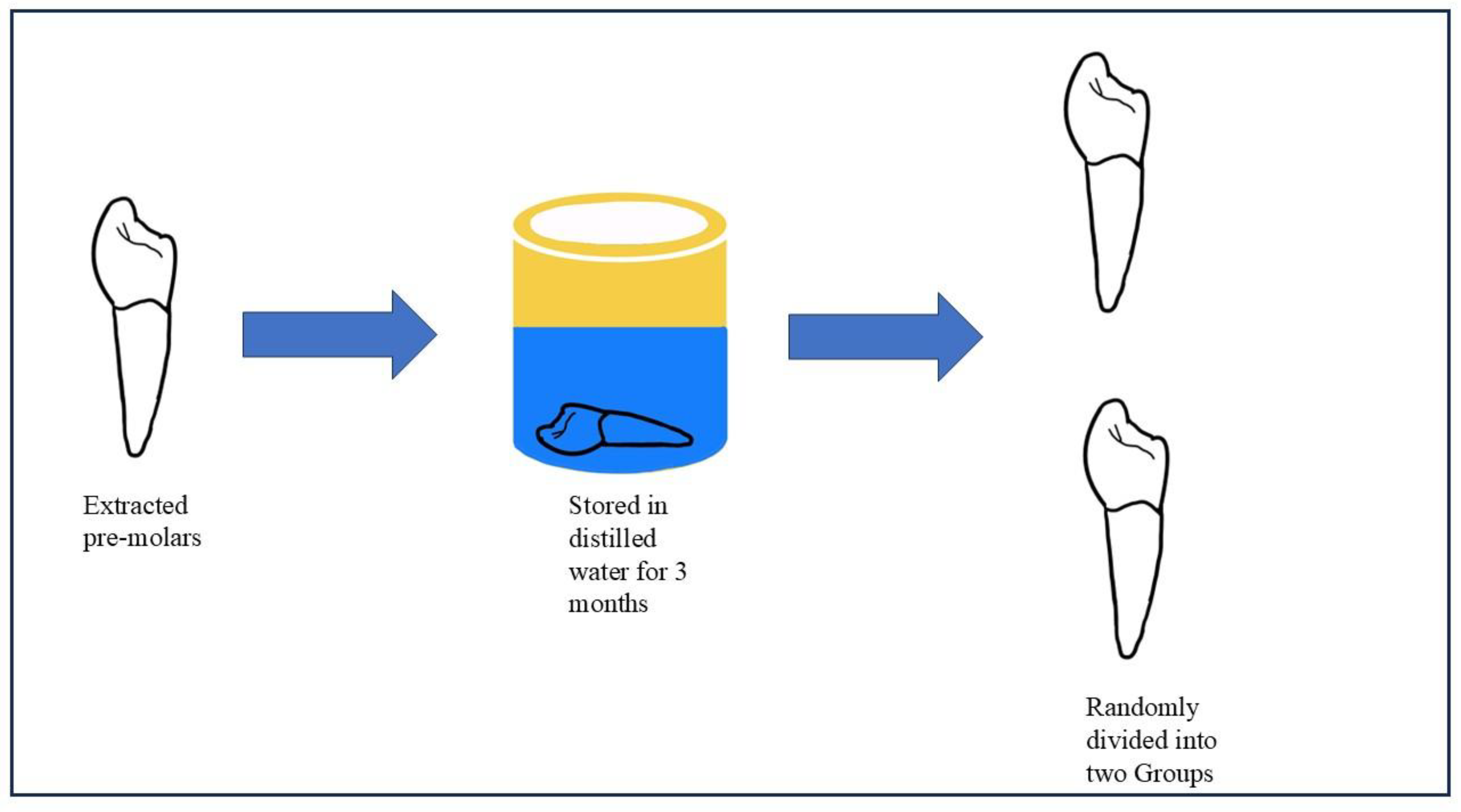 Preprints 173251 g001