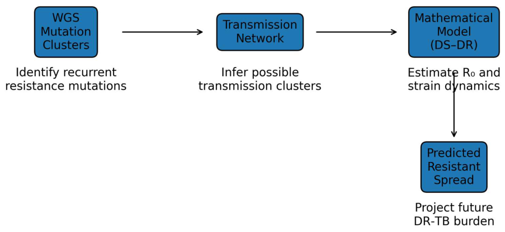 Preprints 213726 g003