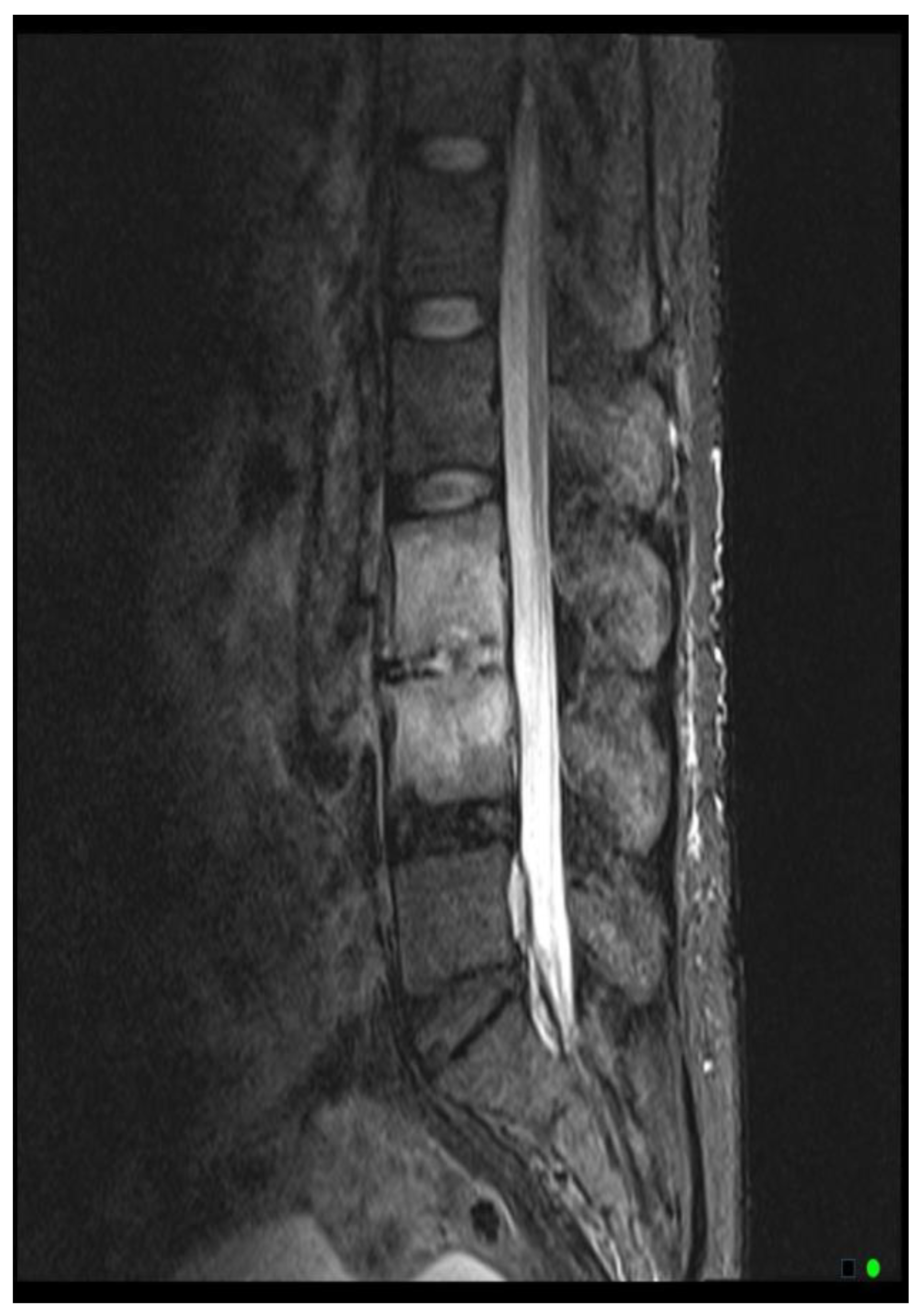 Preprints 155951 g003