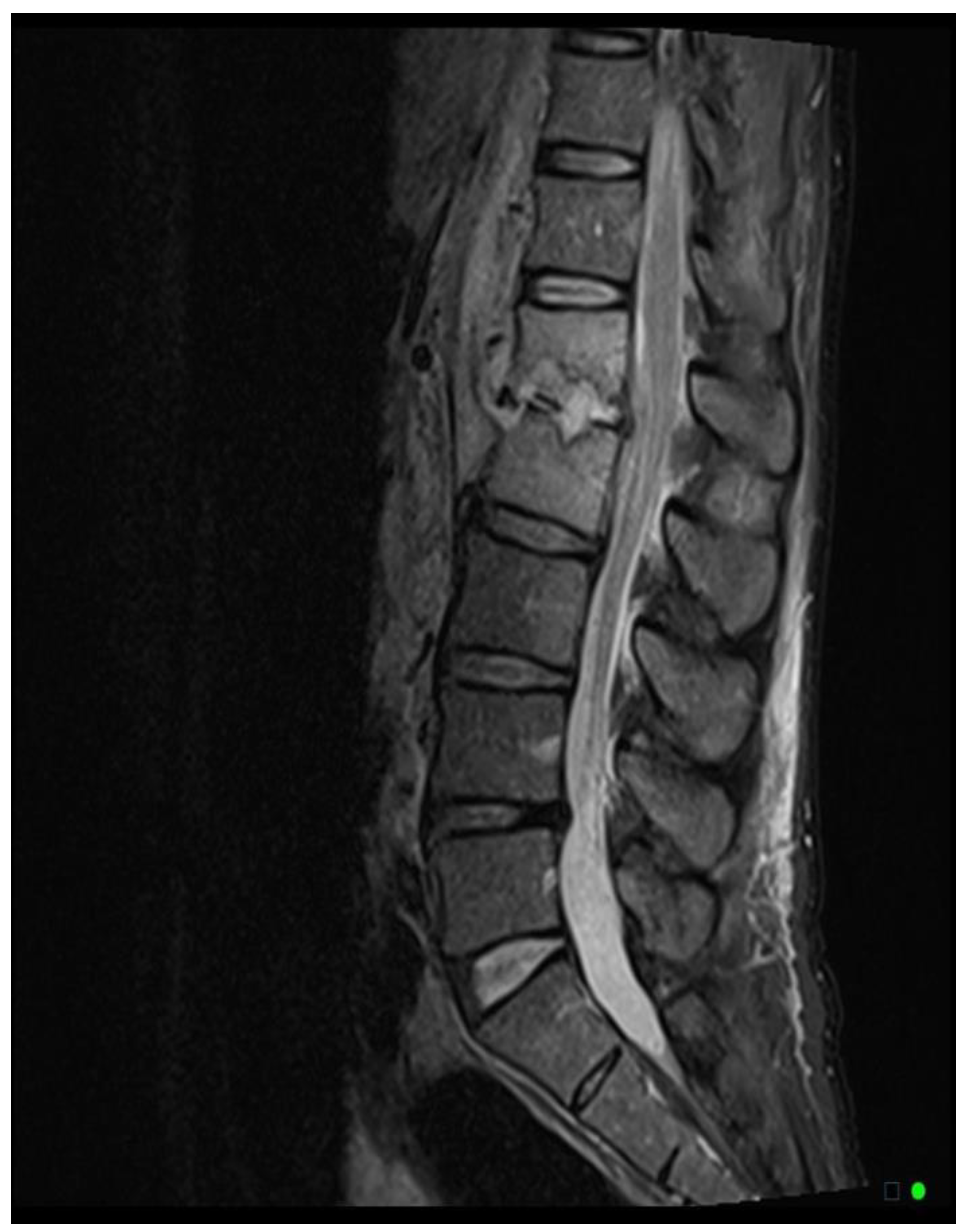 Preprints 155951 g004