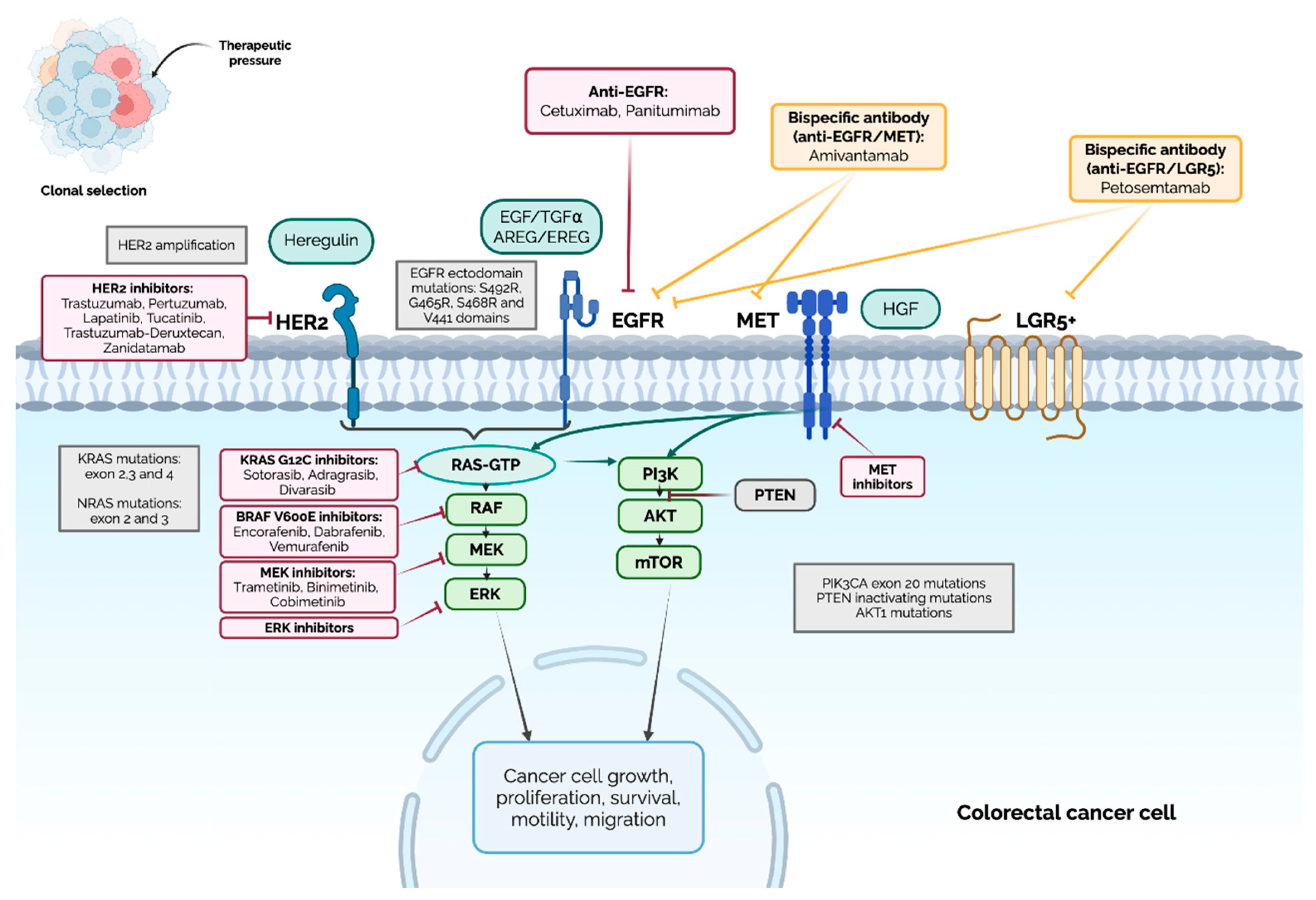 Preprints 202714 g001