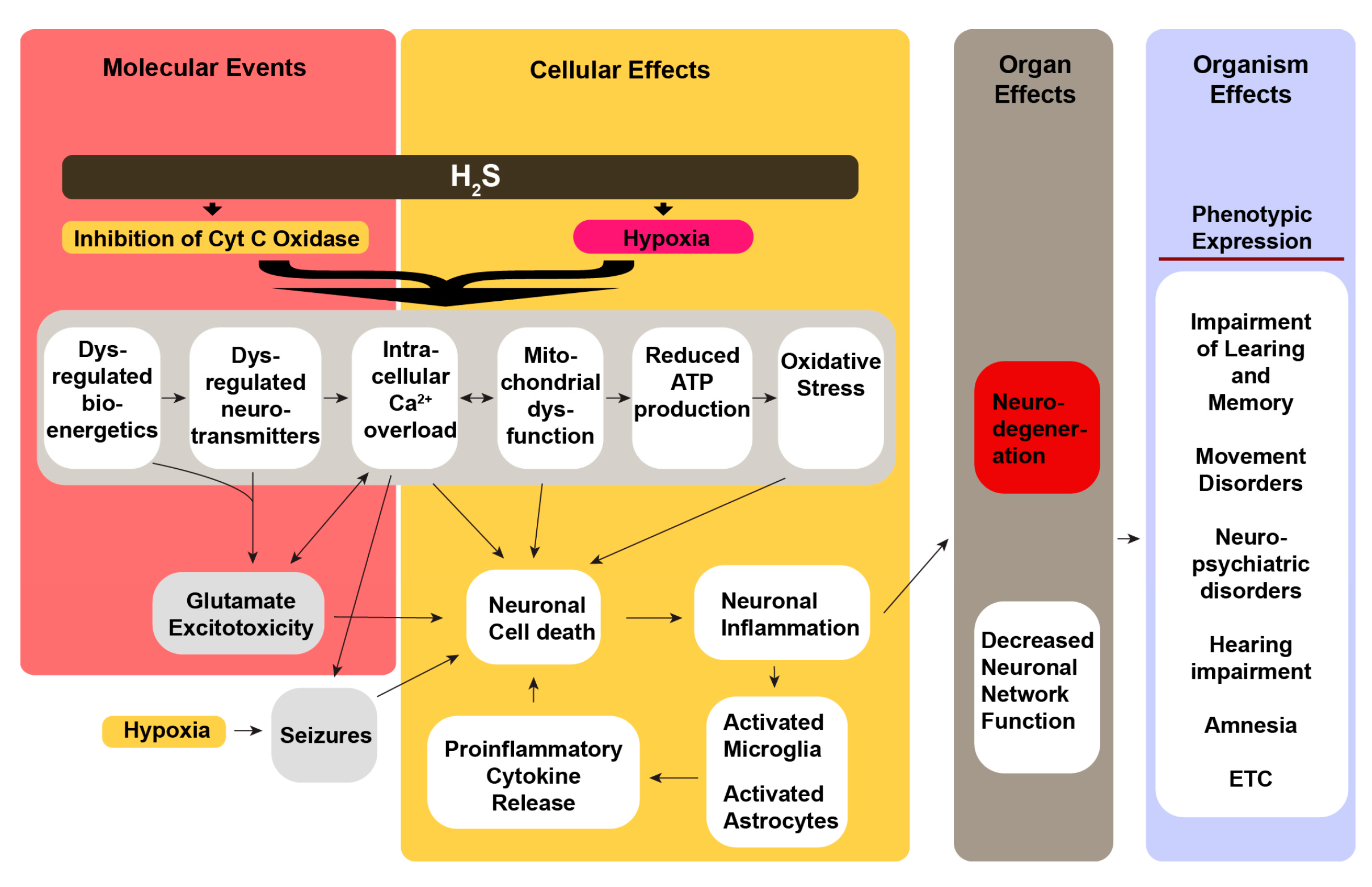 Preprints 146872 g001