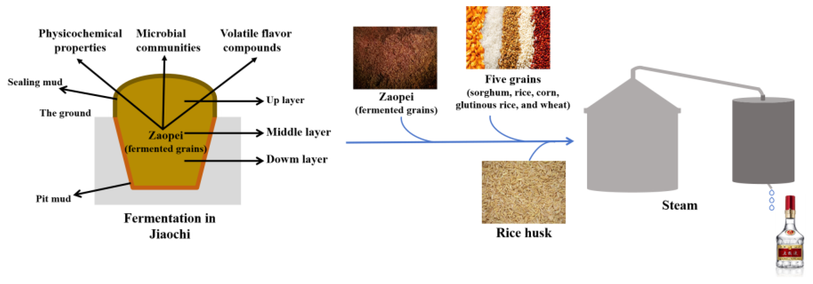 Preprints 159330 g001