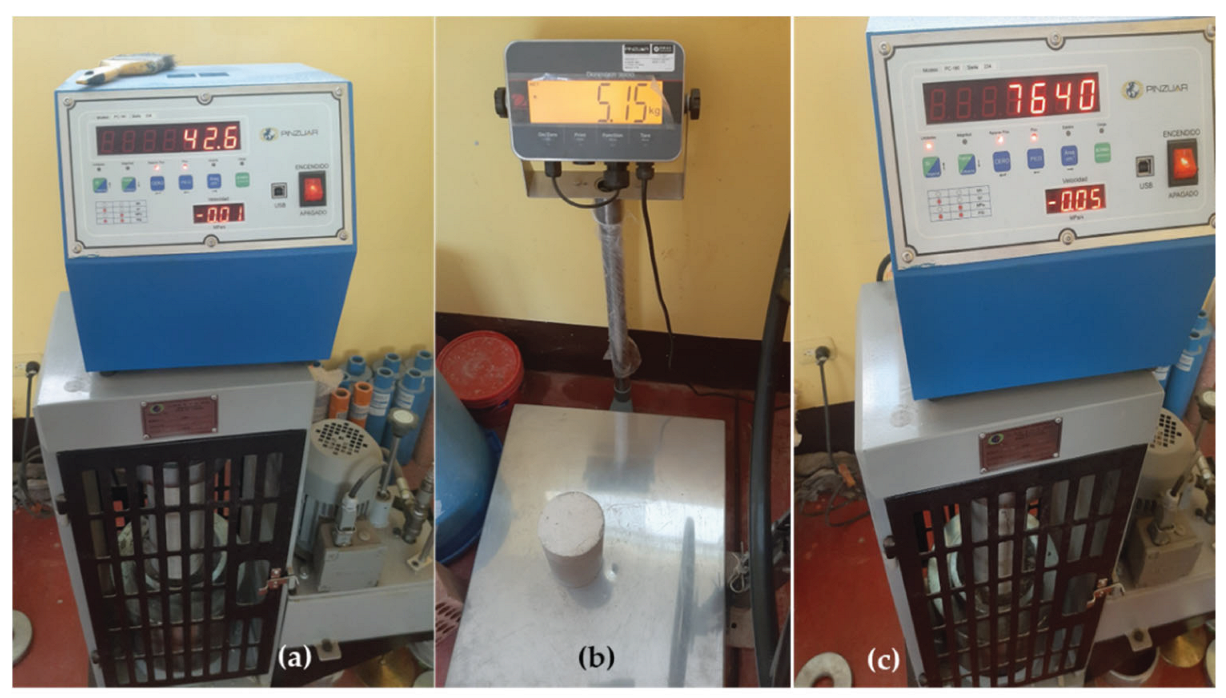 Preprints 160555 g008