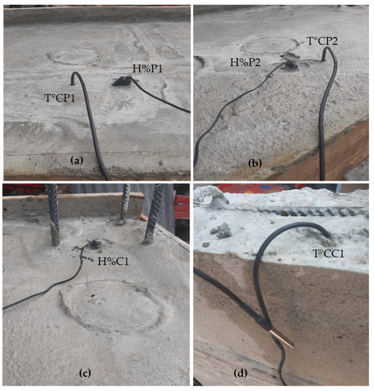 Preprints 160555 g012