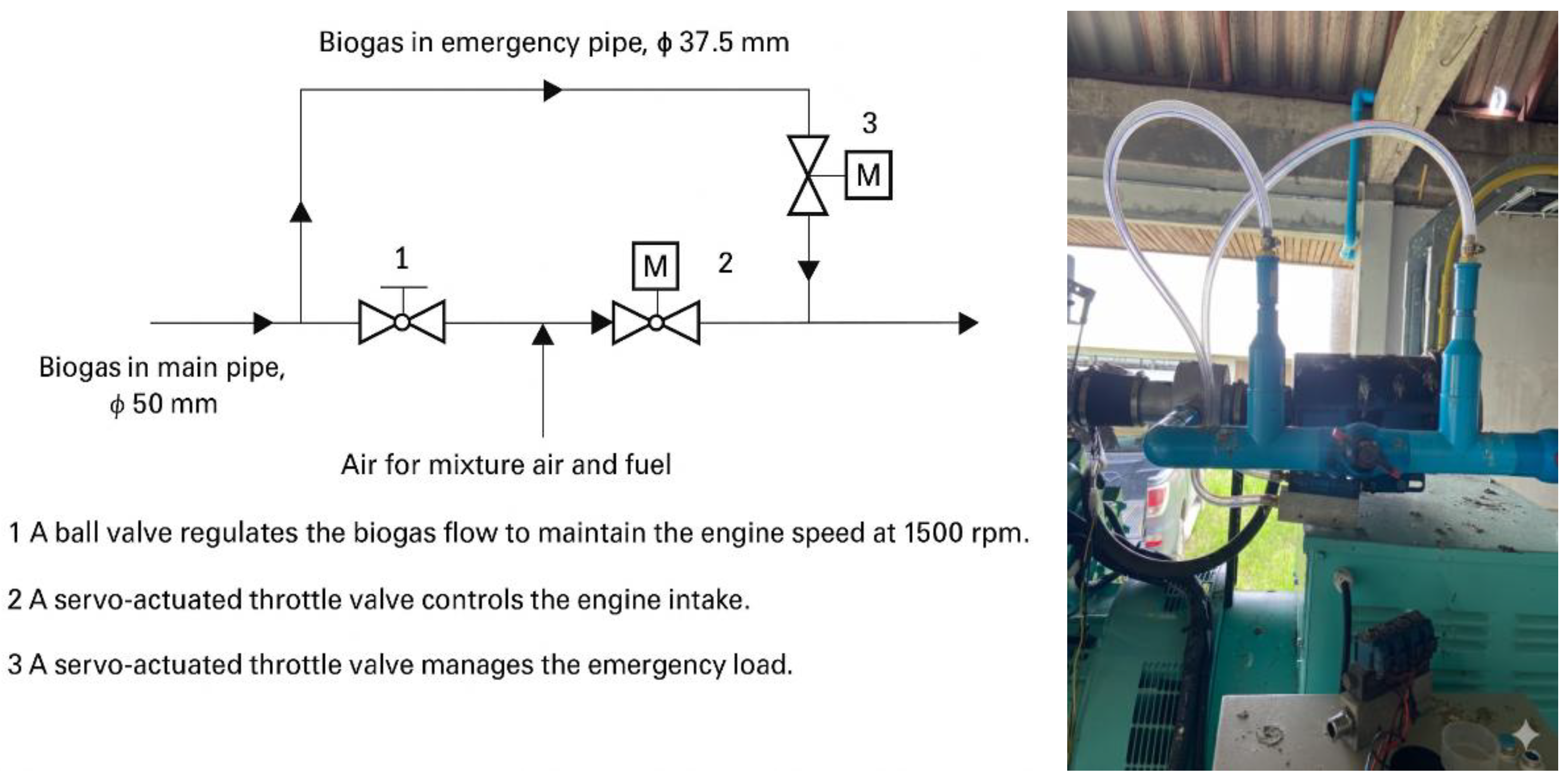 Preprints 183617 g003