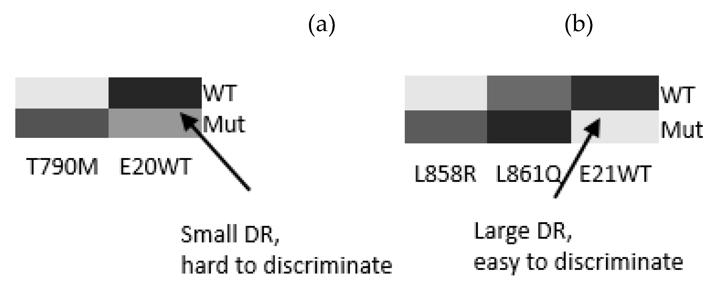 Preprints 189403 g006