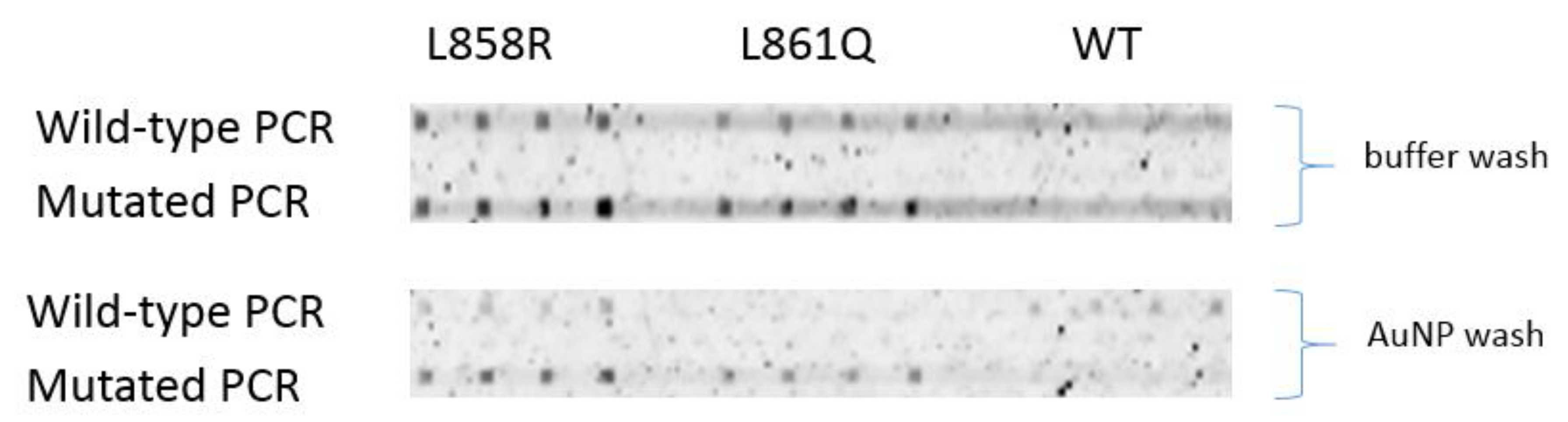 Preprints 189403 g007