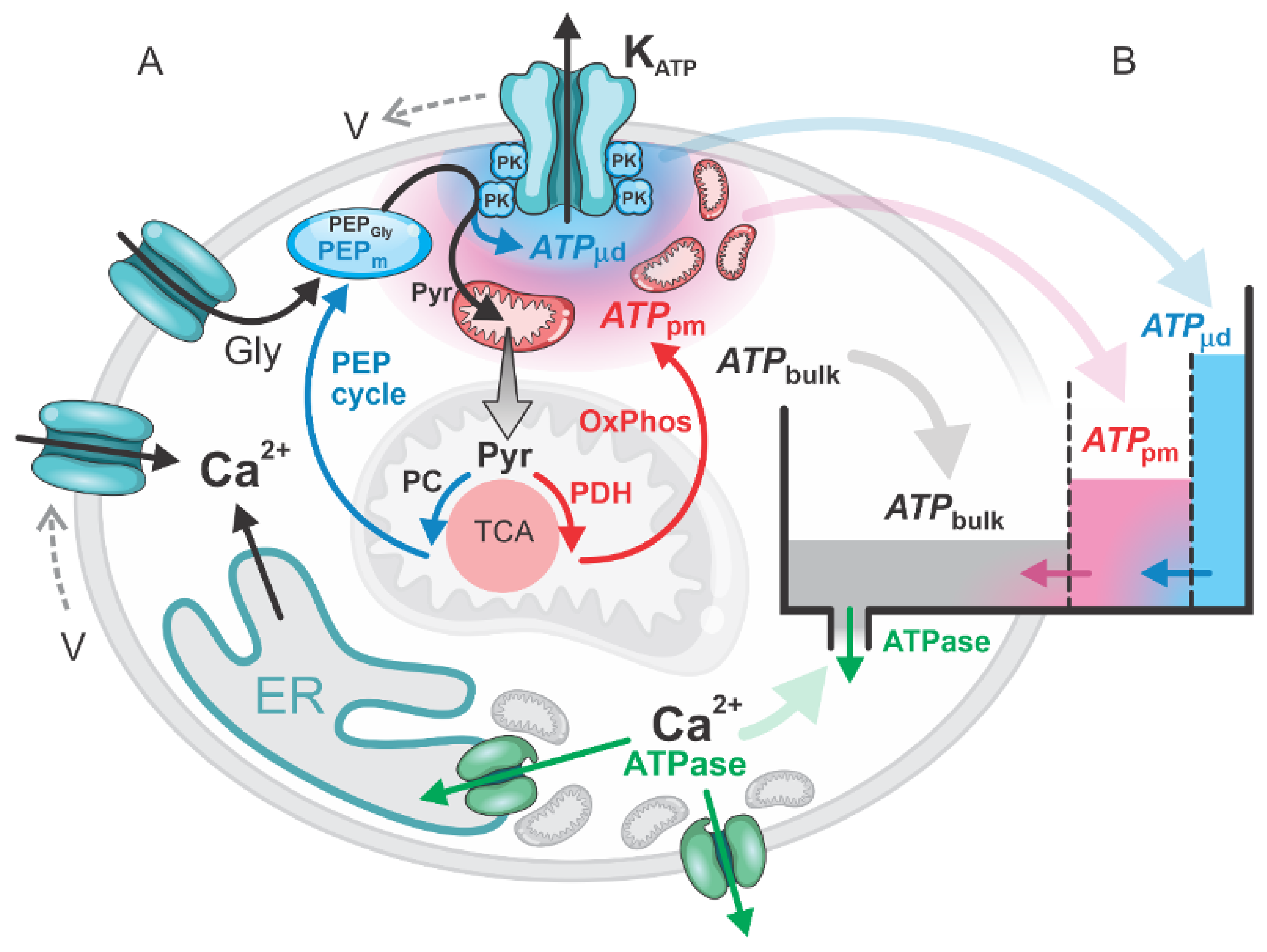 Preprints 145643 g001