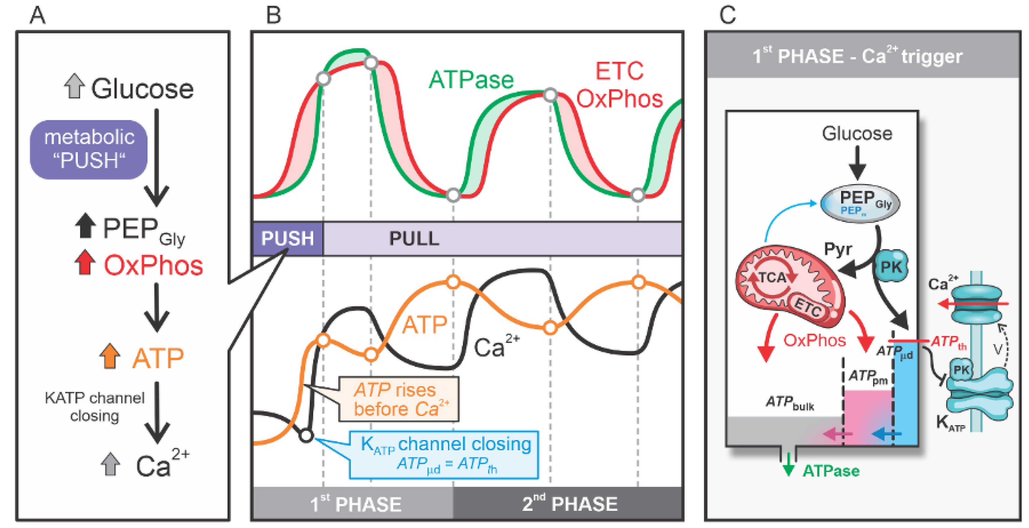 Preprints 145643 g002
