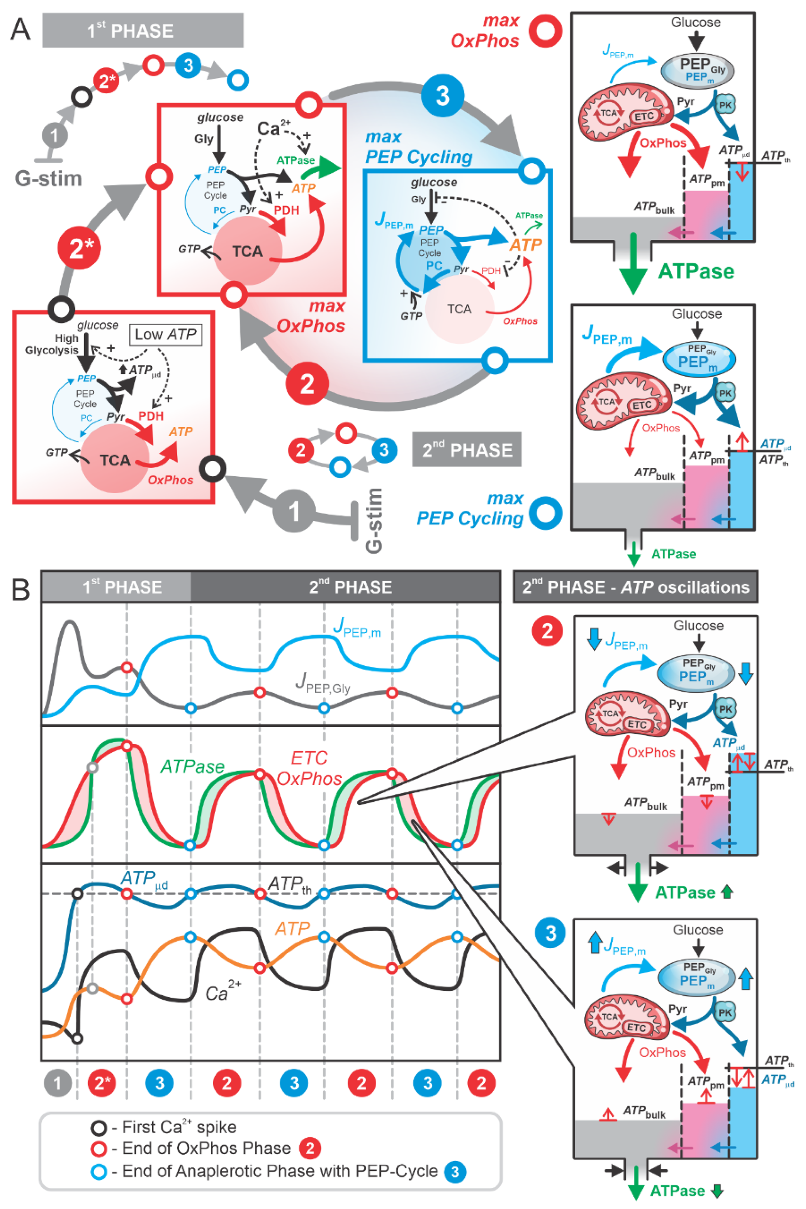 Preprints 145643 g003