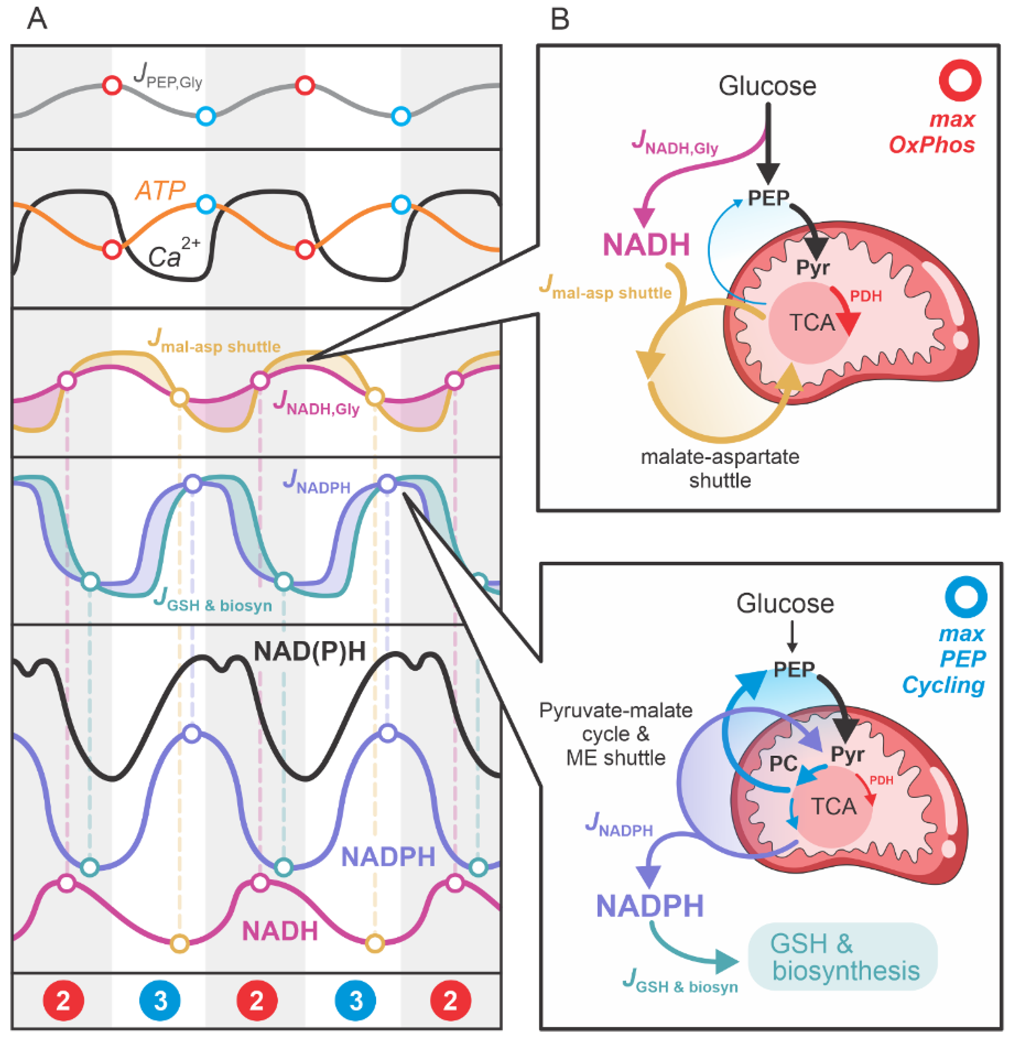 Preprints 145643 g005