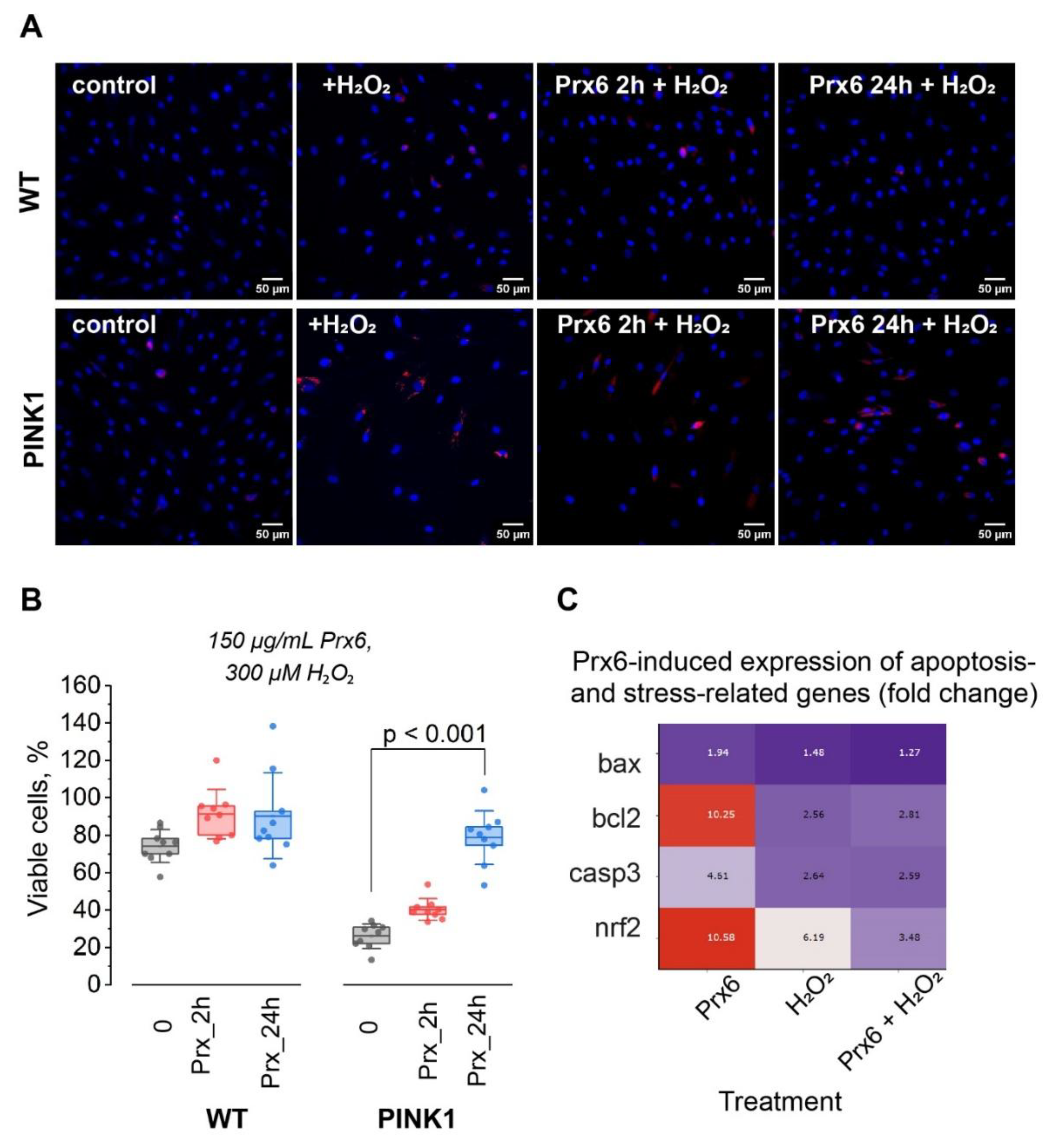 Preprints 188290 g001