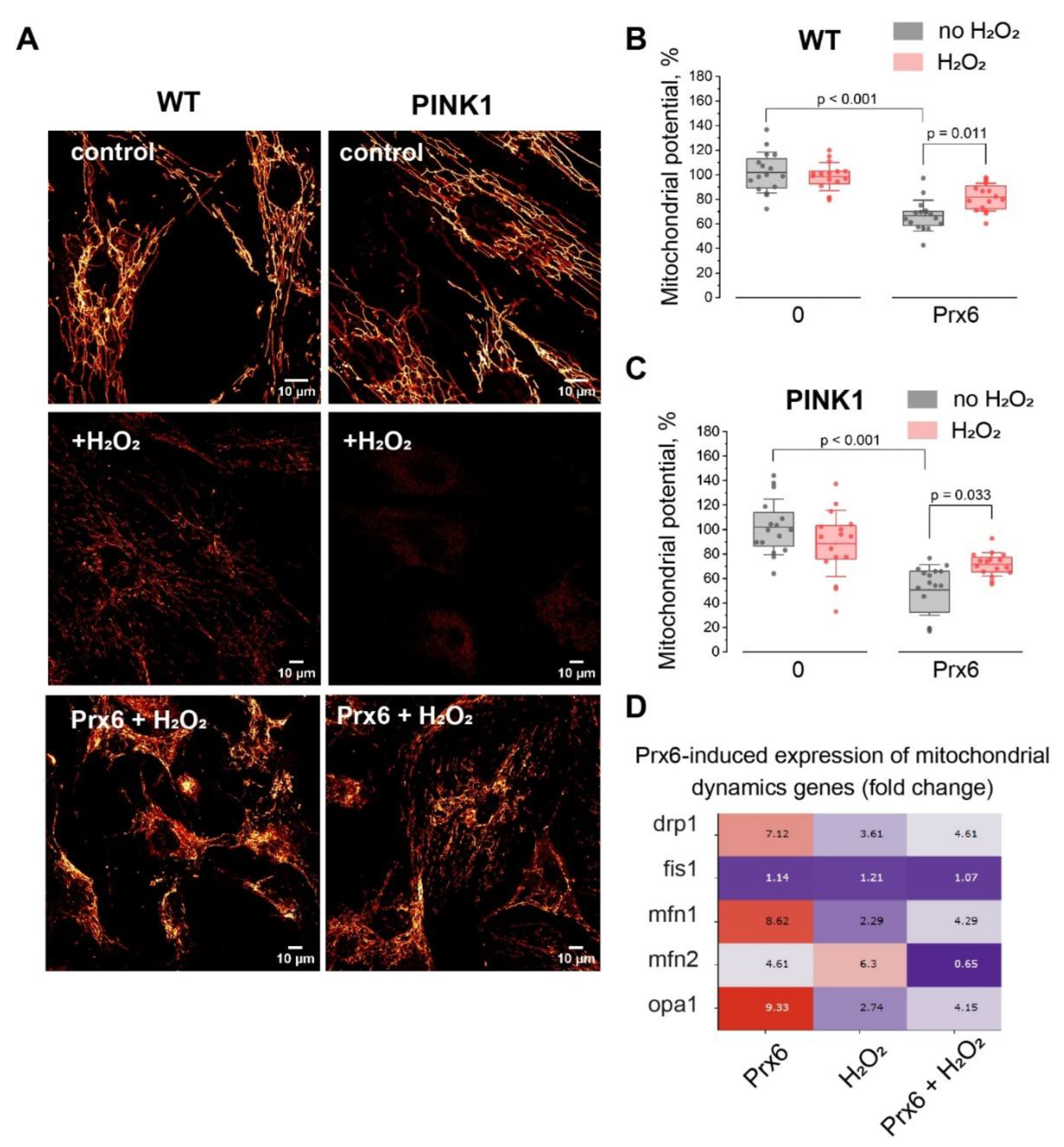 Preprints 188290 g003