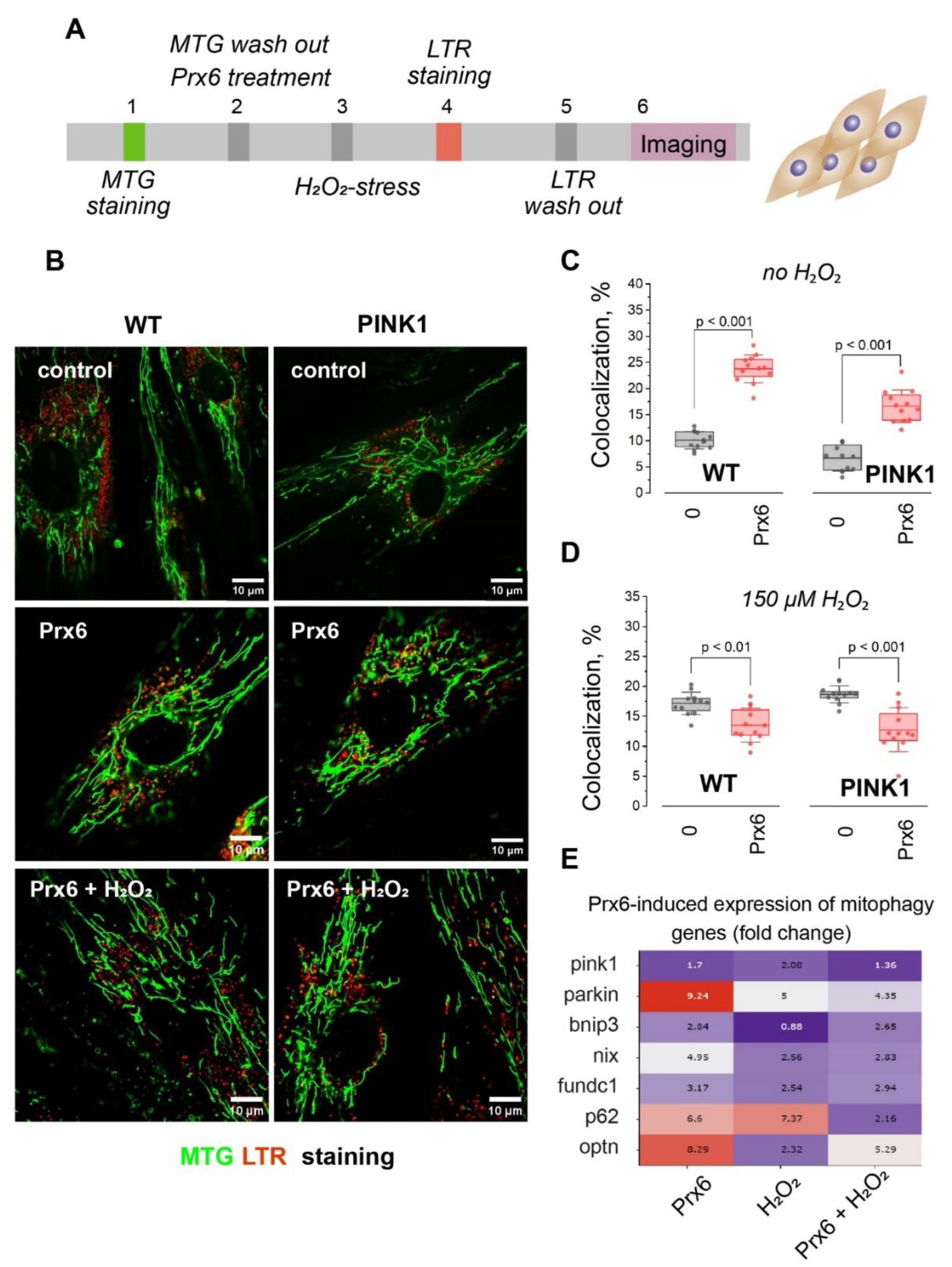 Preprints 188290 g004