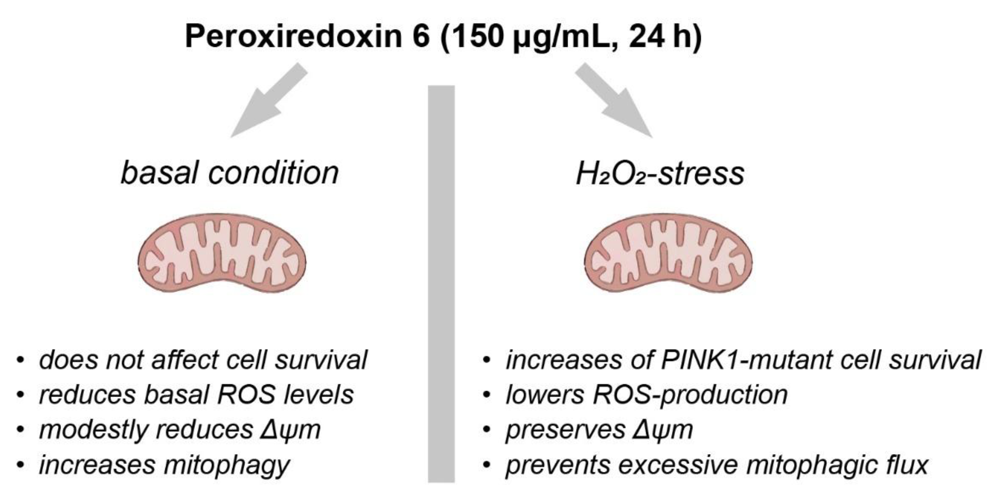 Preprints 188290 g005
