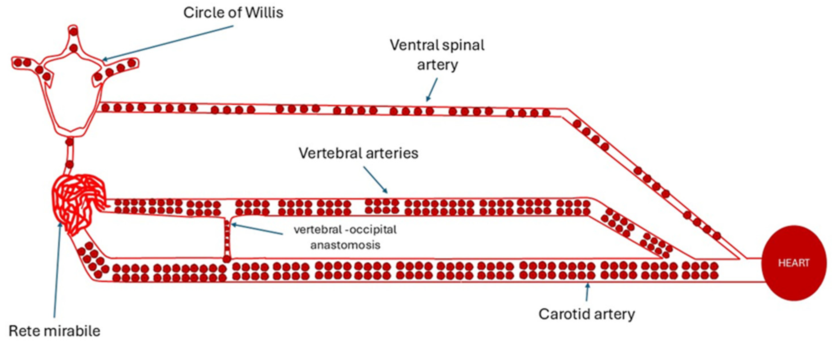 Preprints 169742 g001