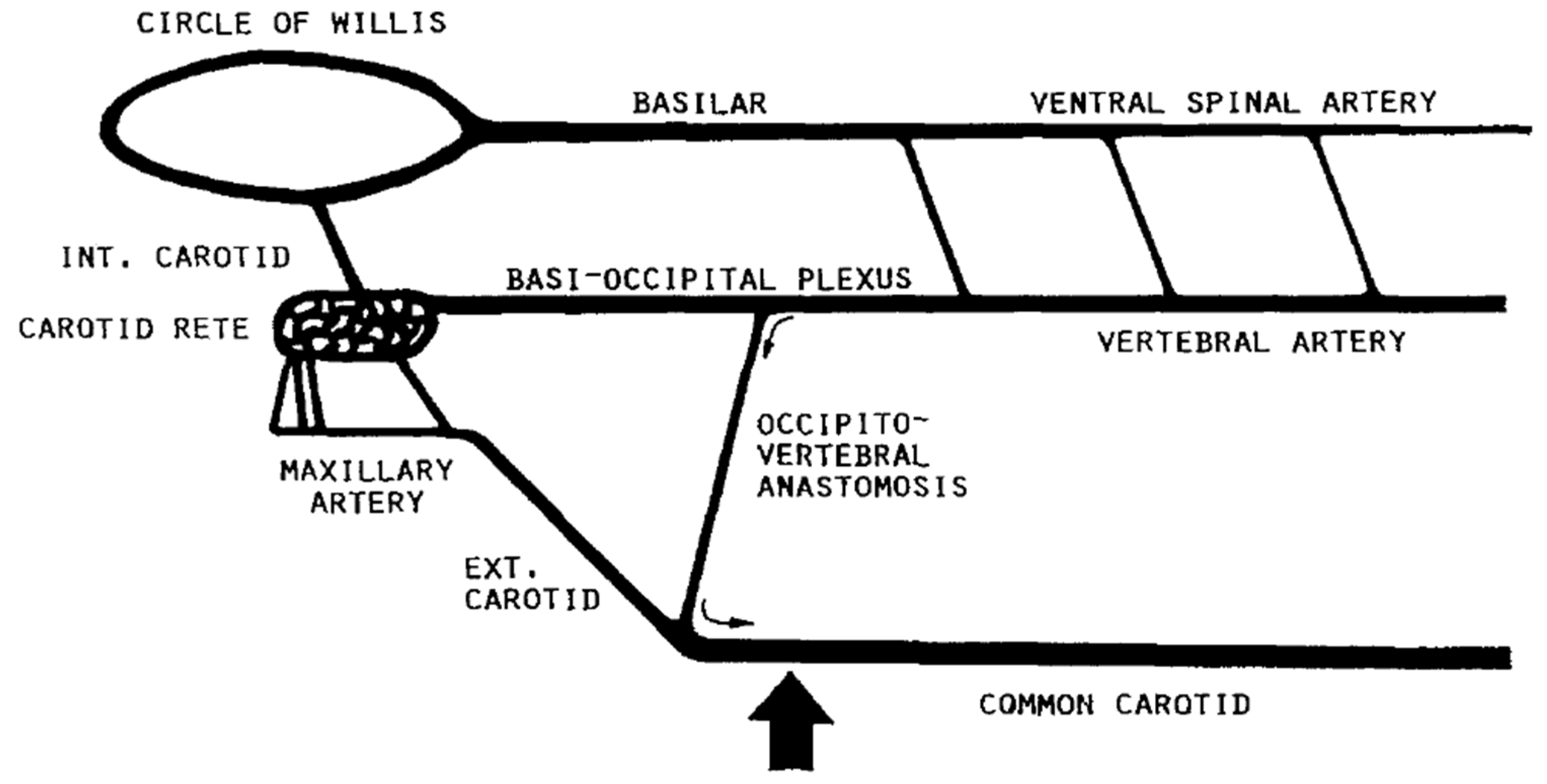 Preprints 169742 g002