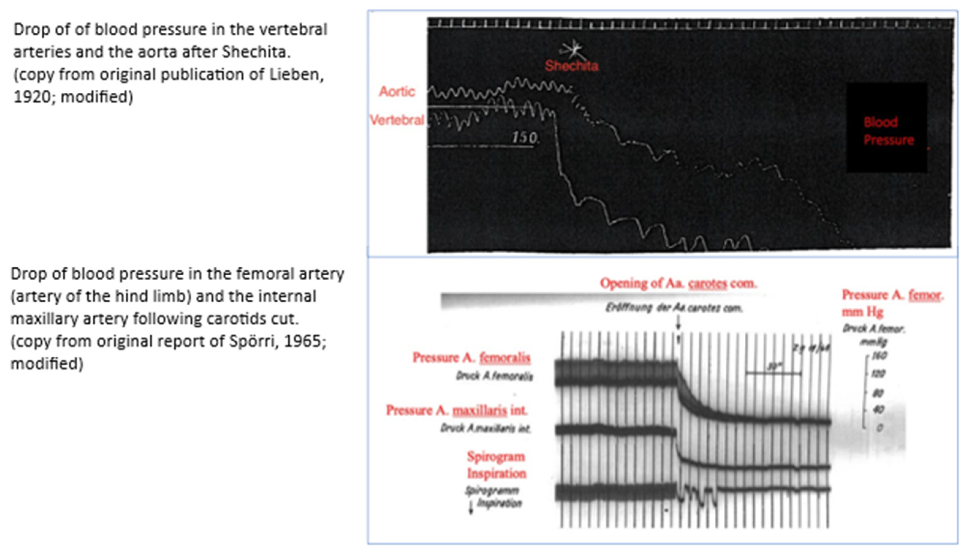 Preprints 169742 g003