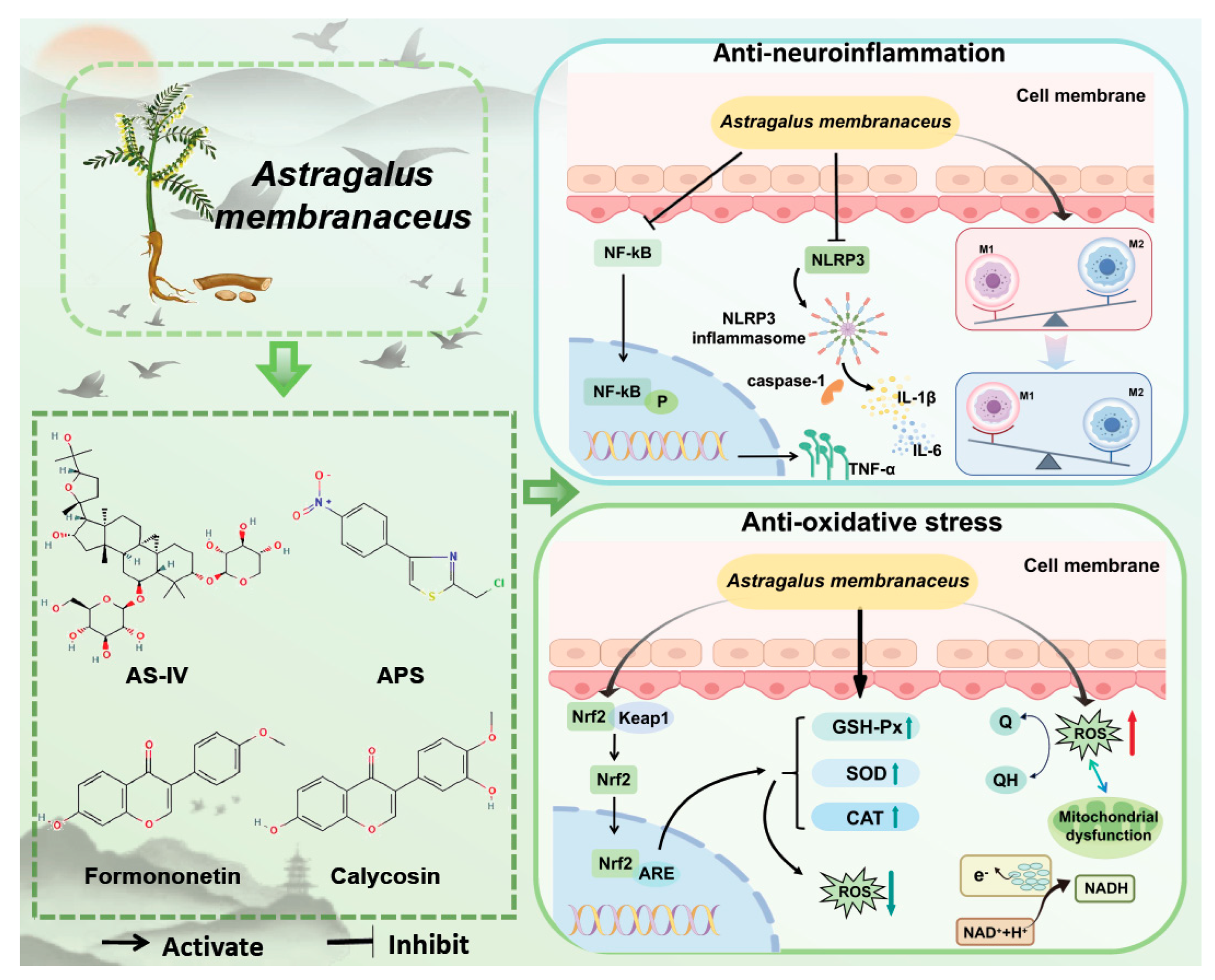 Preprints 179243 g003