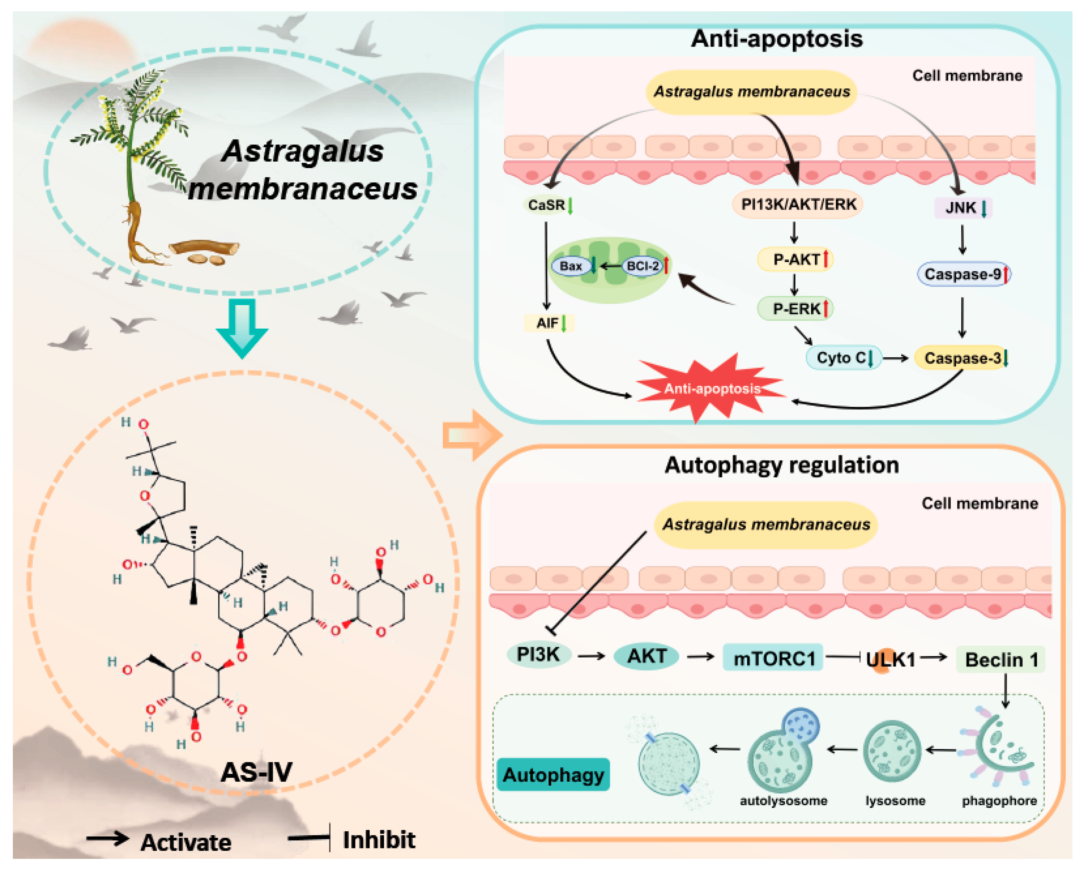 Preprints 179243 g004