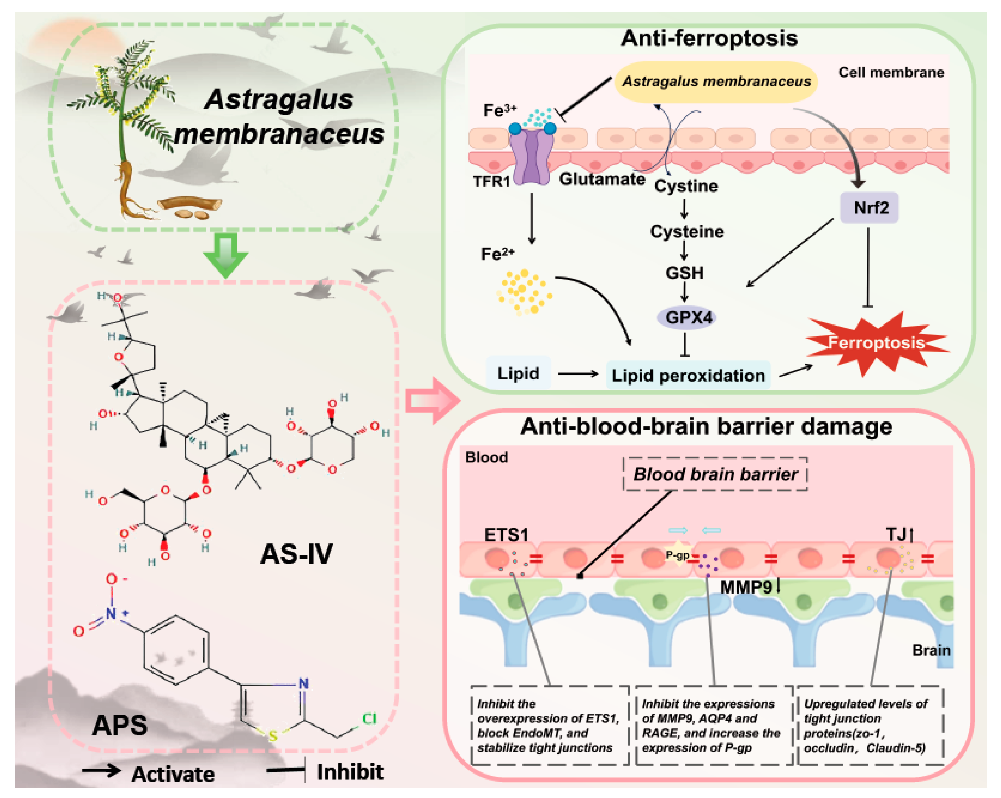 Preprints 179243 g005